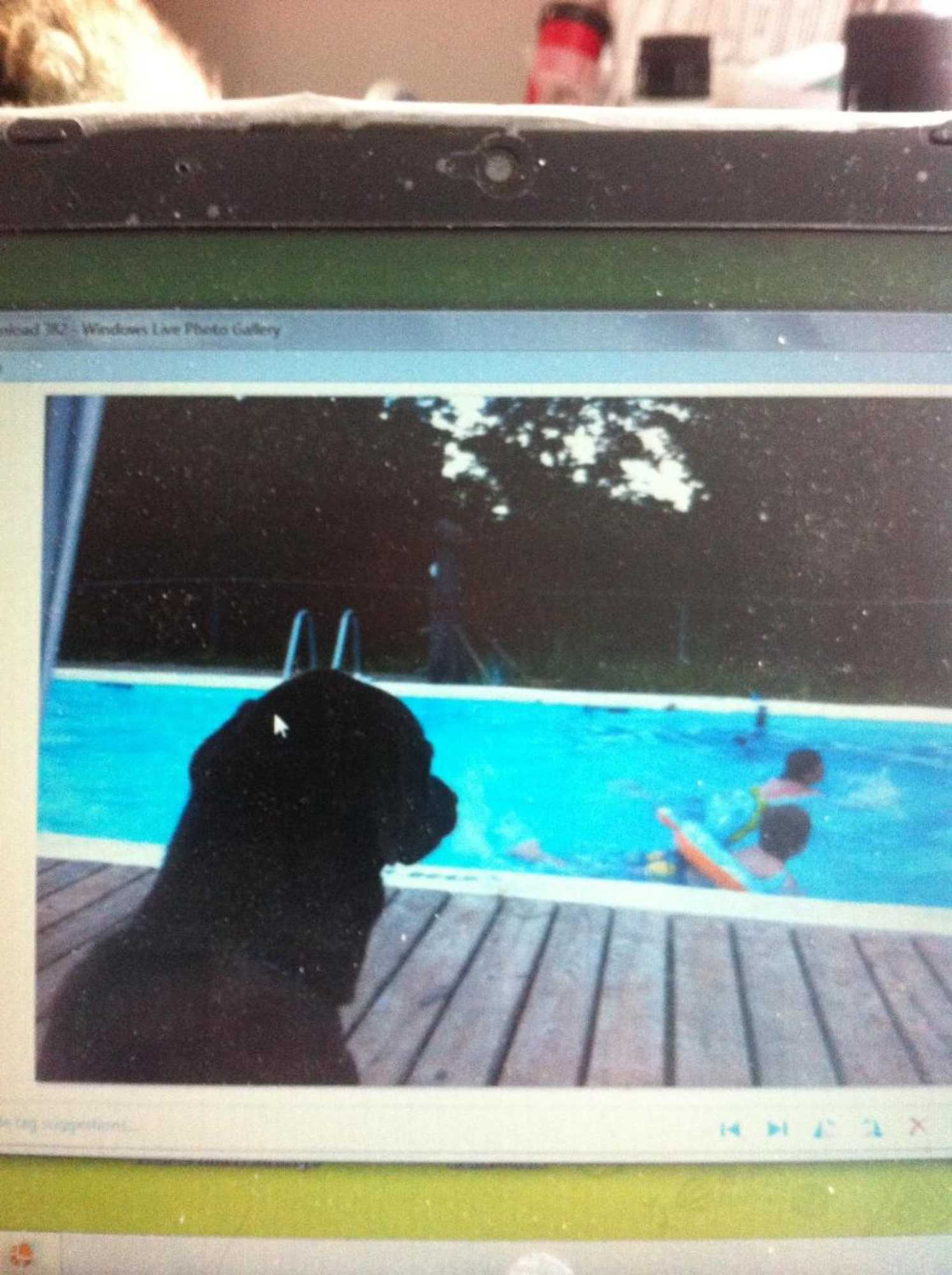 Gift card for Cabin & Motel Rentals