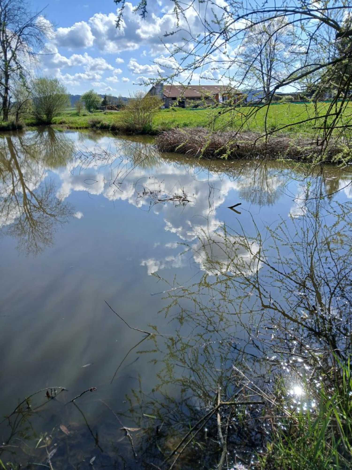 Gift card for Landgasthof Zum Seehof