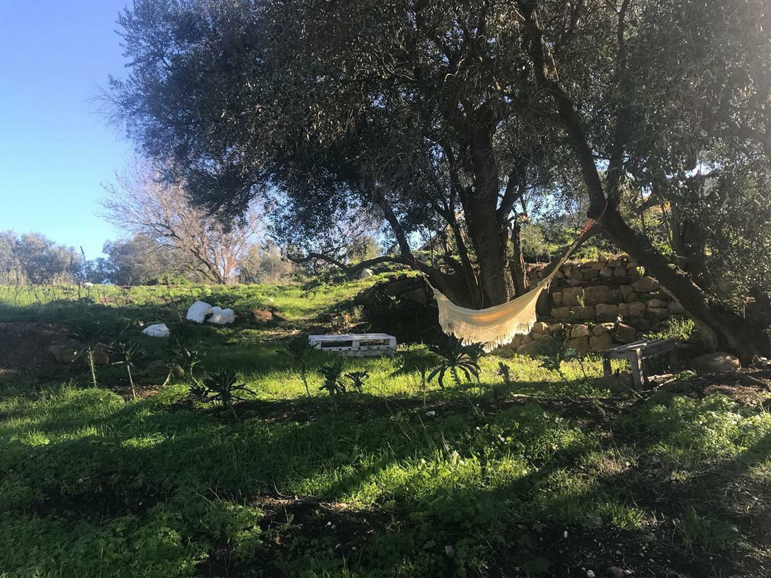 Gift card for Biovilla Sustentabilidade