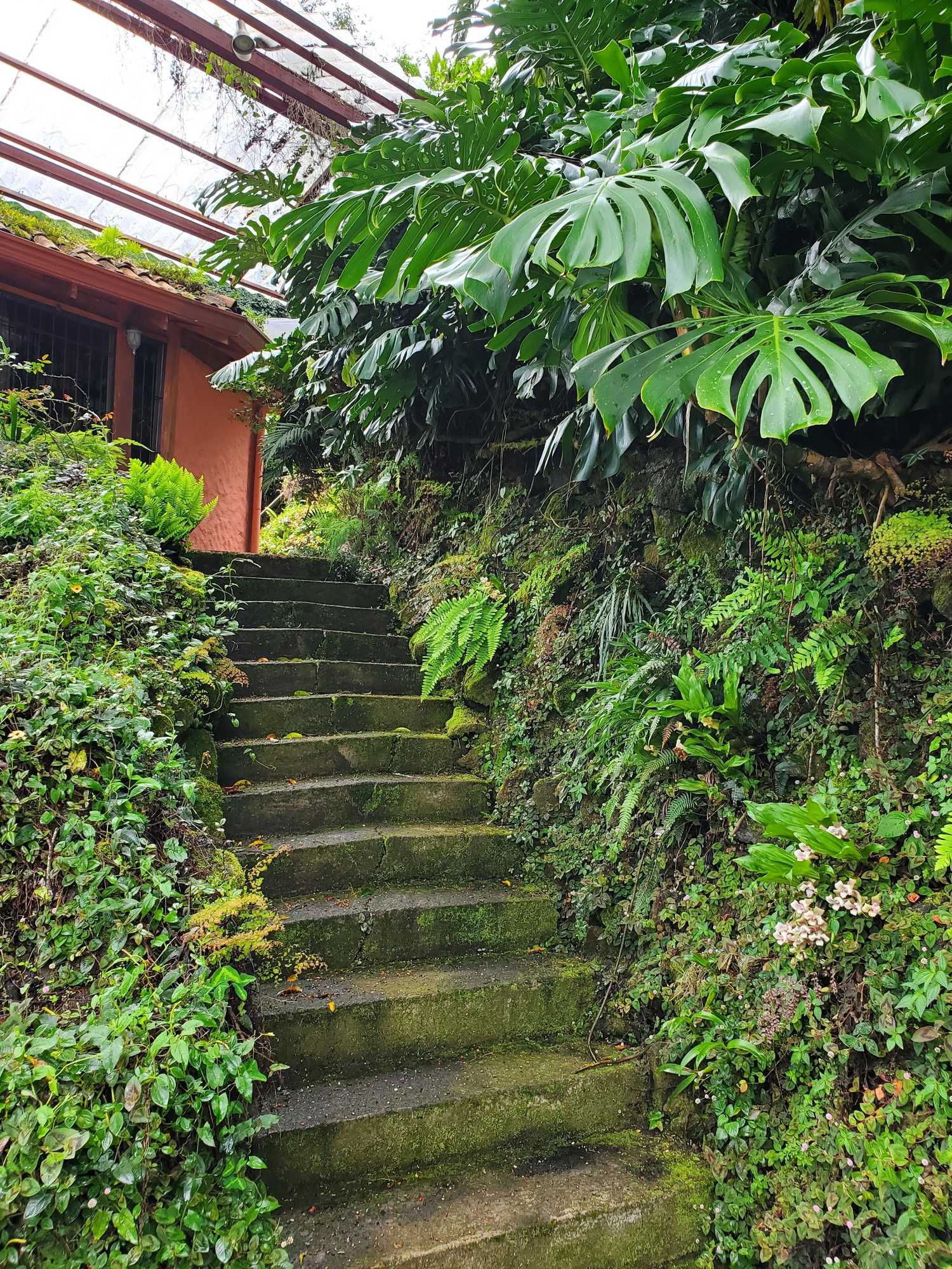 Gift card for Finca Paraiso Mountain Retreat Gift card for Finca Paraiso Mountain Retreat