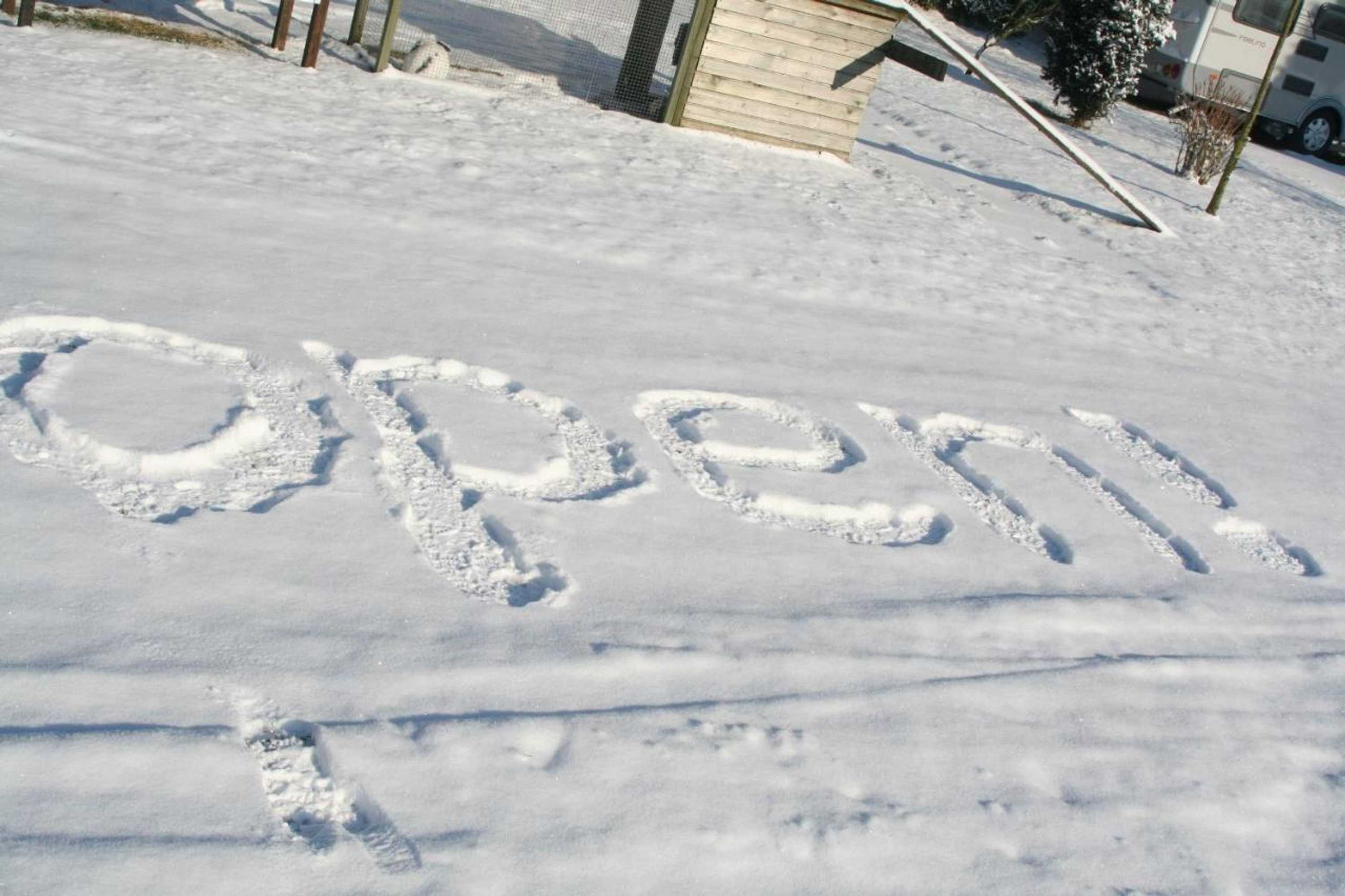 Gift card for Camping De Grienduil