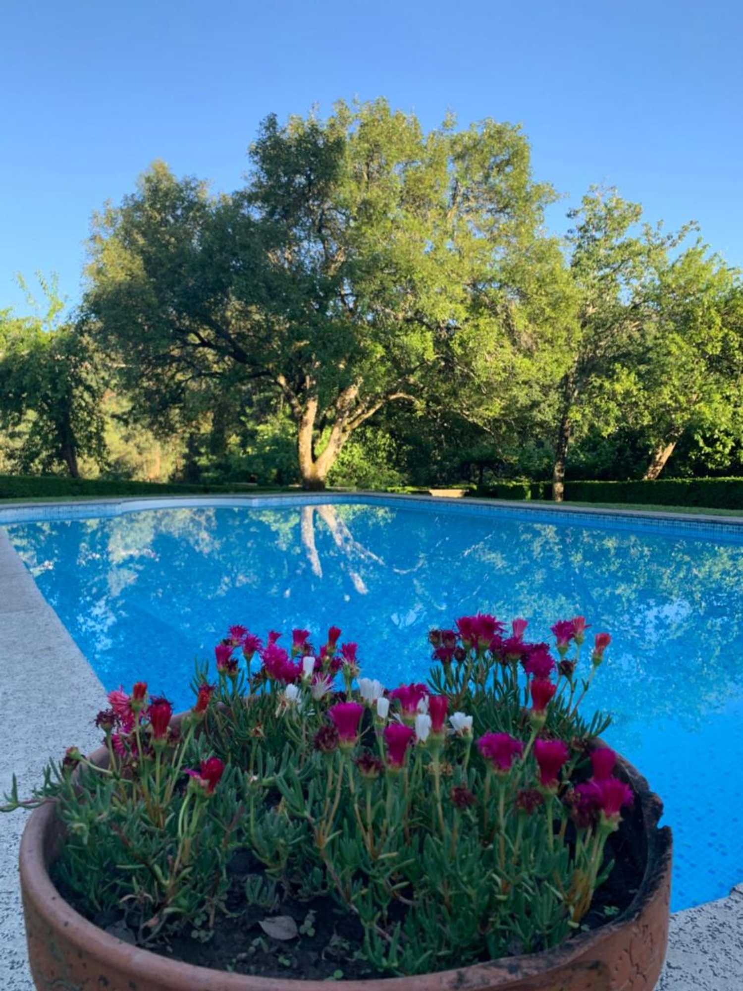 Gift card for Villa Margaridi