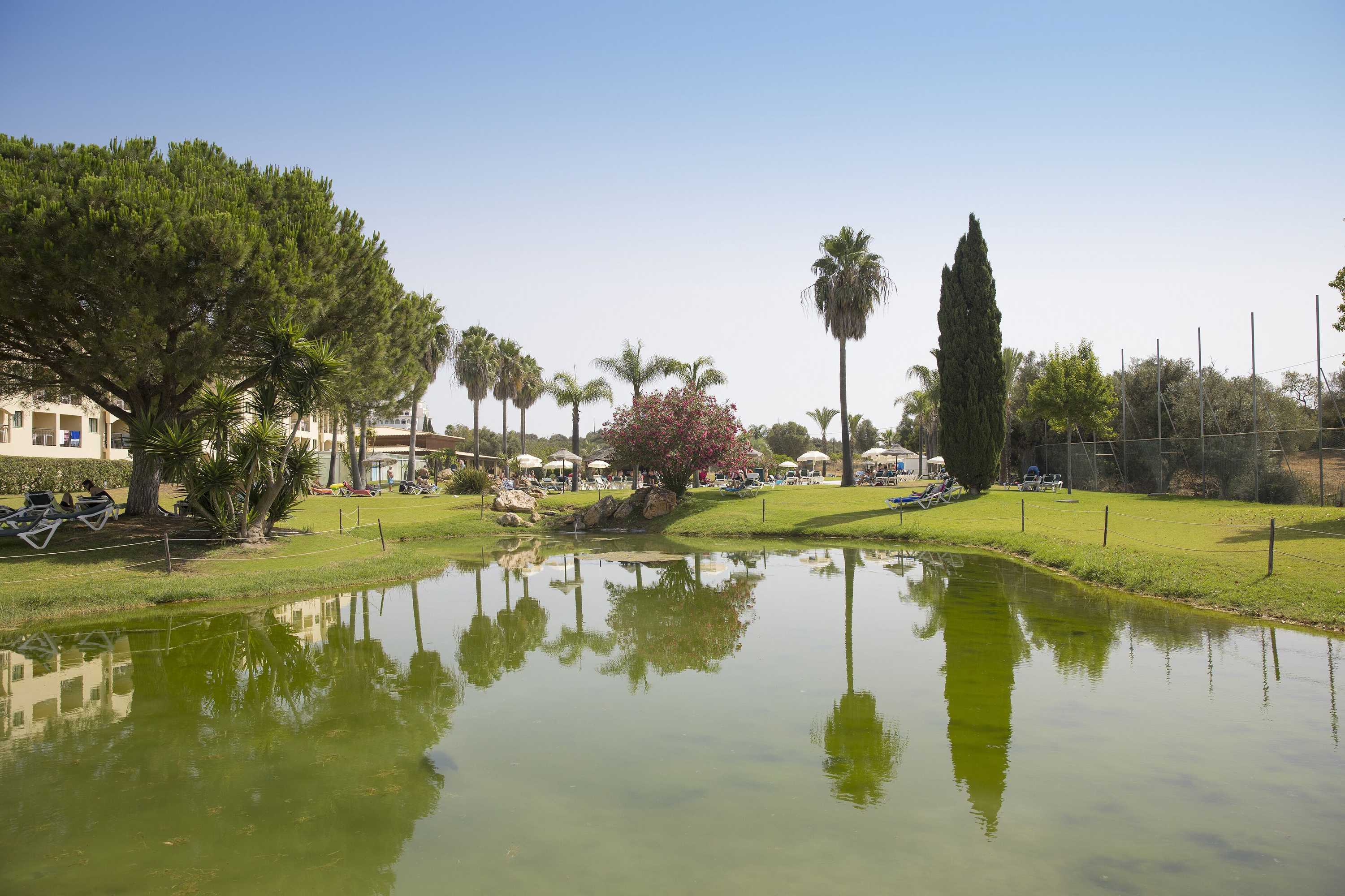 Gift card for The Navigator - Palm Oasis Alvor - All Inclusive Gift card for The Navigator - Palm Oasis Alvor - All Inclusive