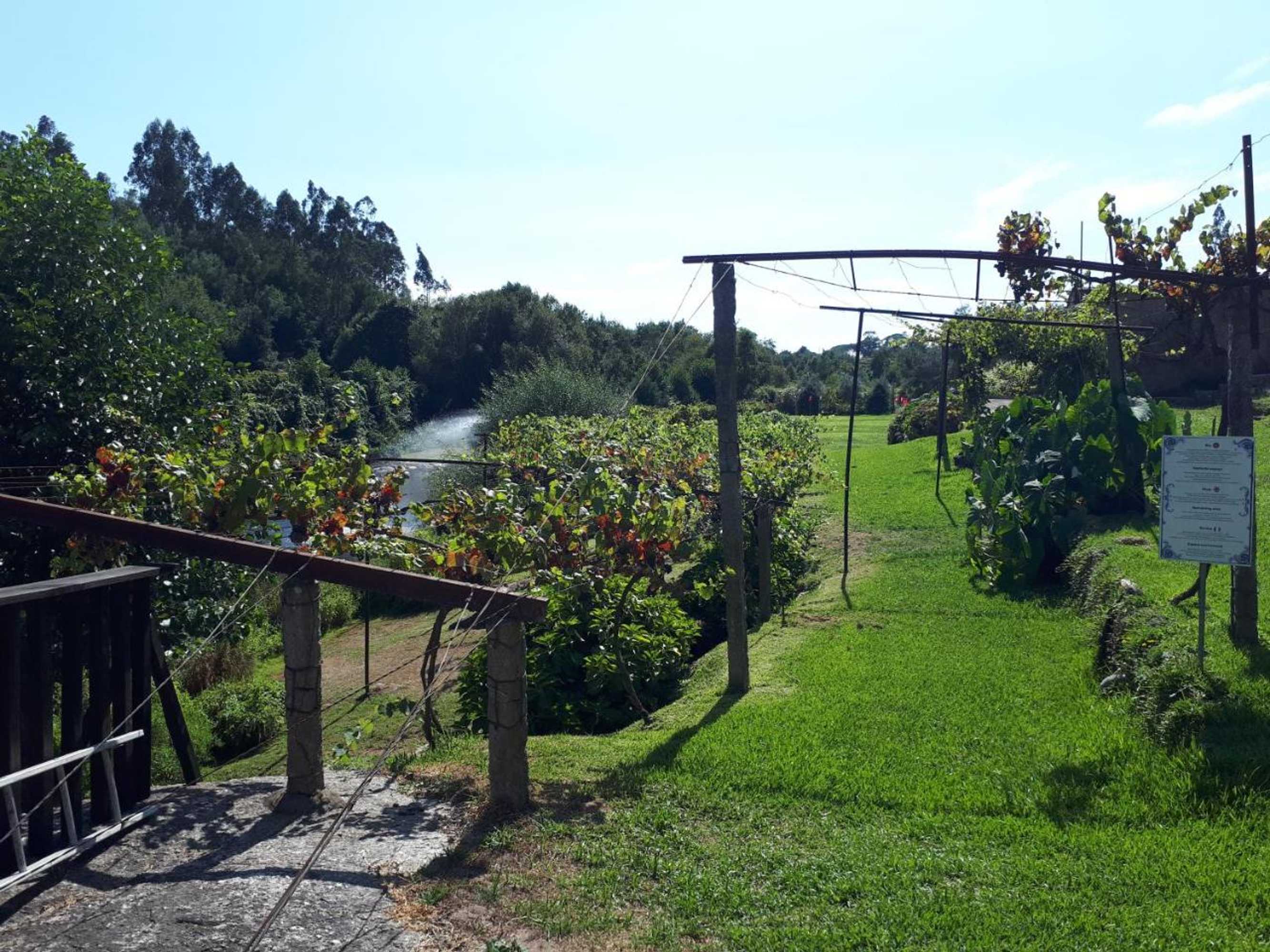 Gift card for Quinta do Rio Sousa