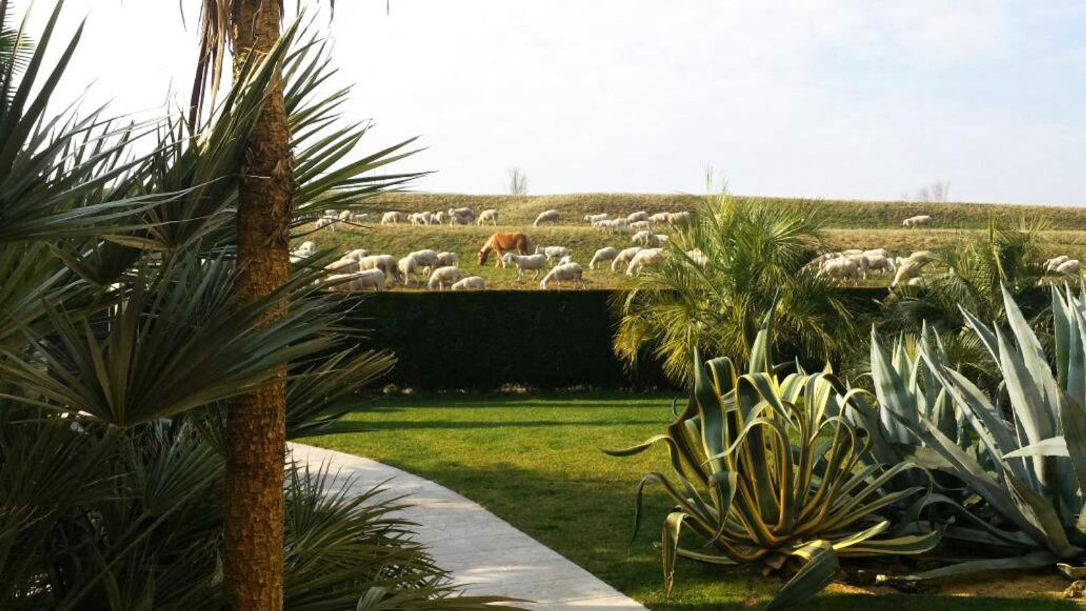 Gift card for B&b Corte San Tomaso