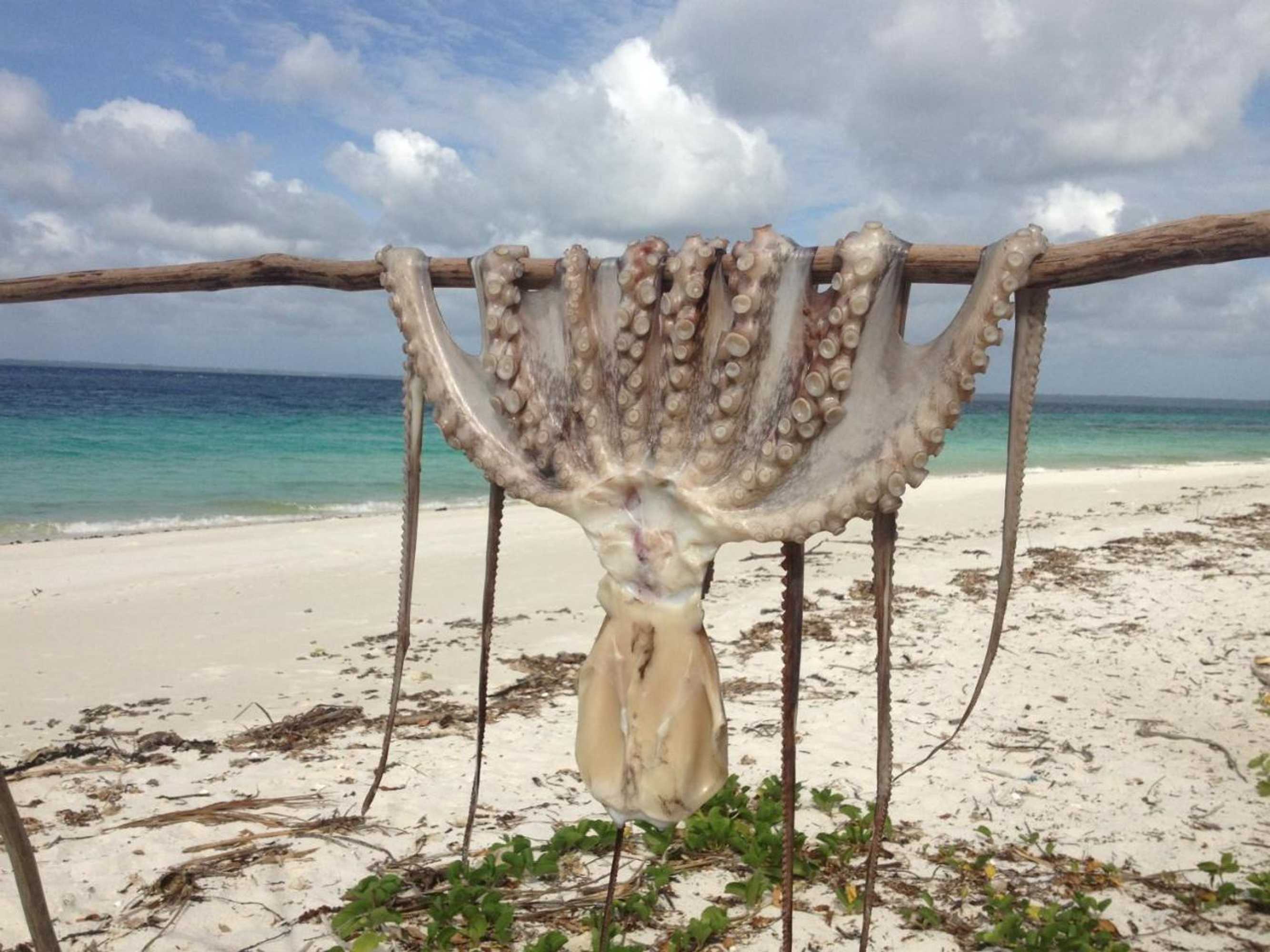 Gift card for Emerald Bay Resort