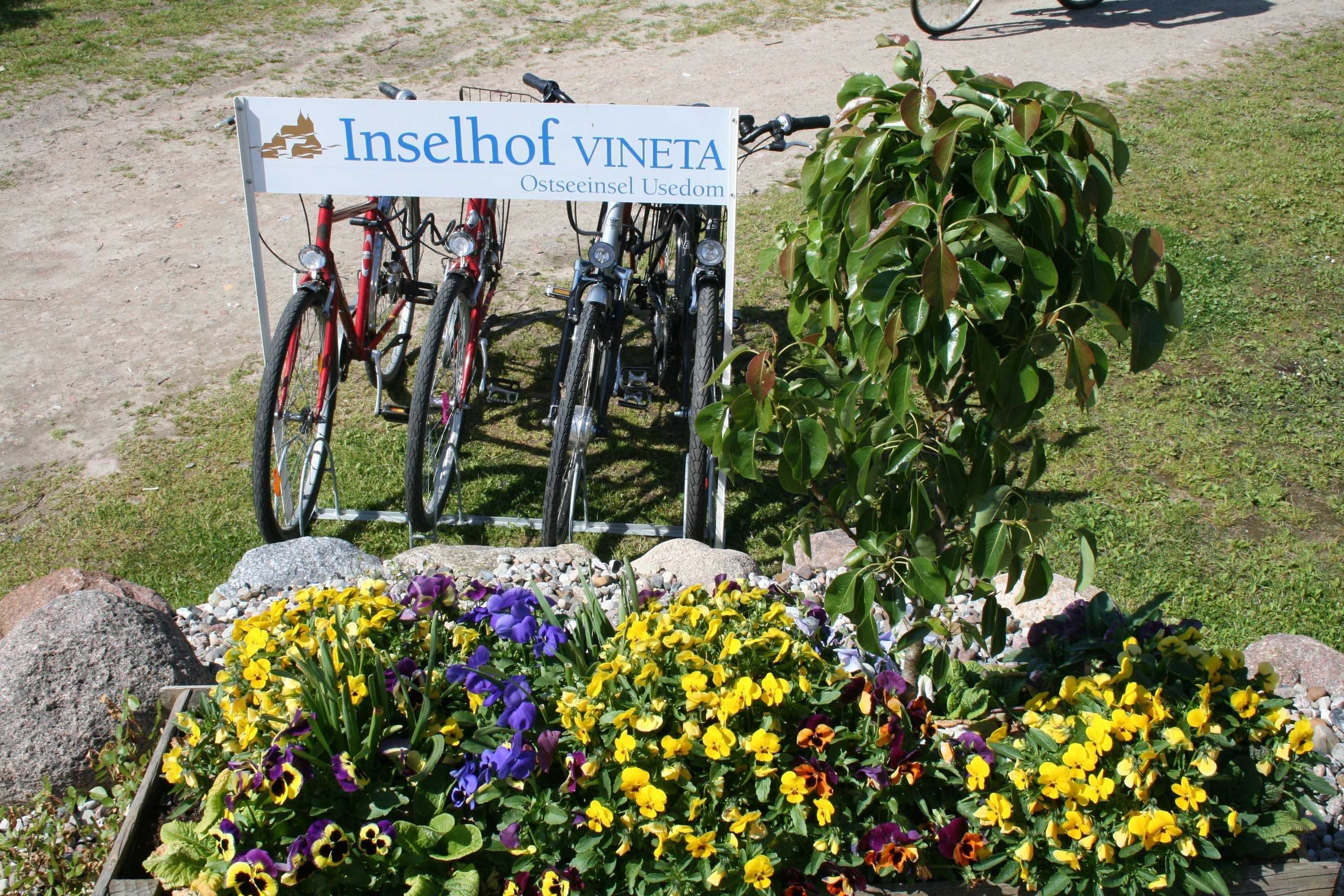 Gift card for Inselhof Vineta Gift card for Inselhof Vineta