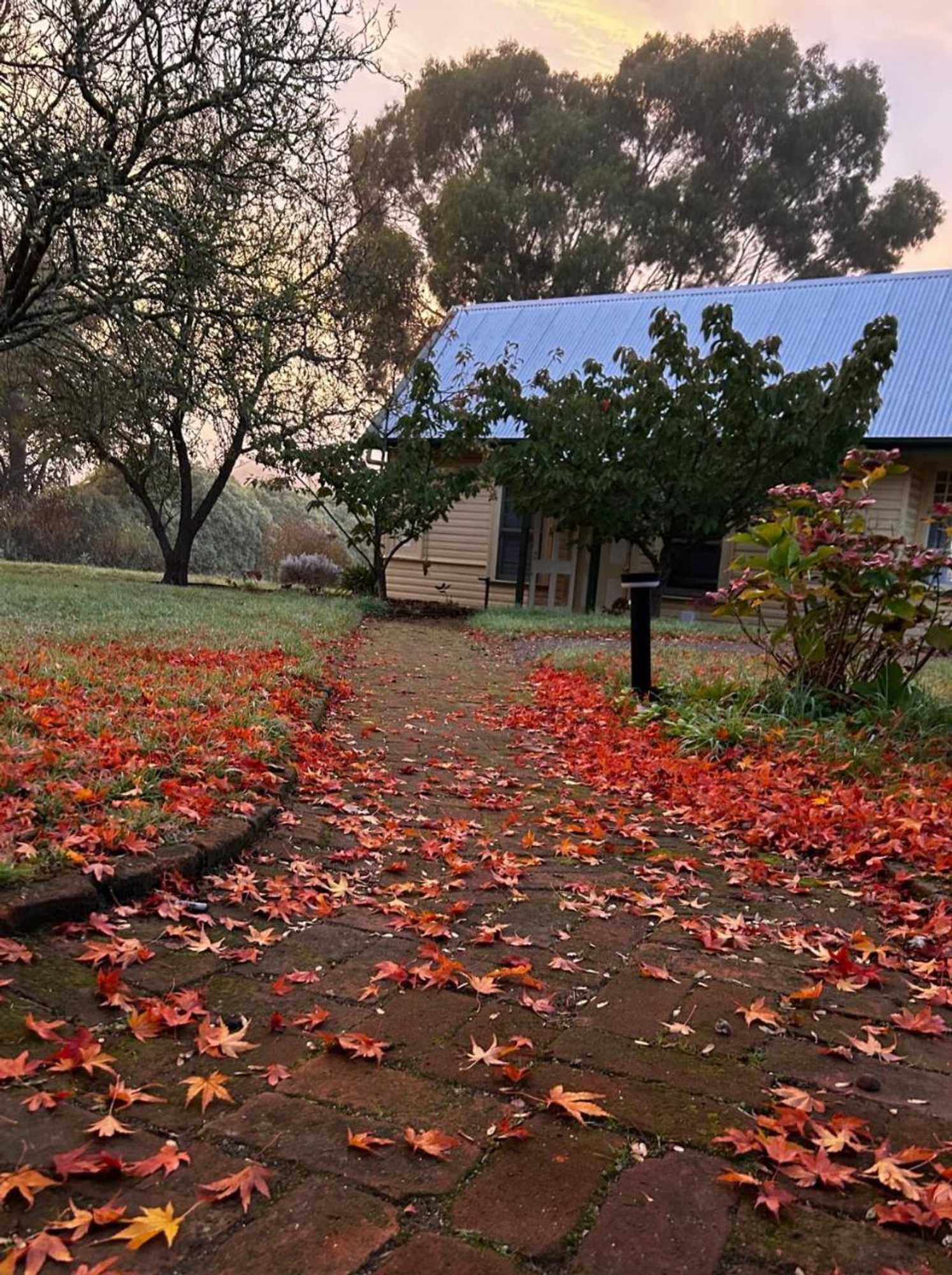 Gift card for Clifton Homestead