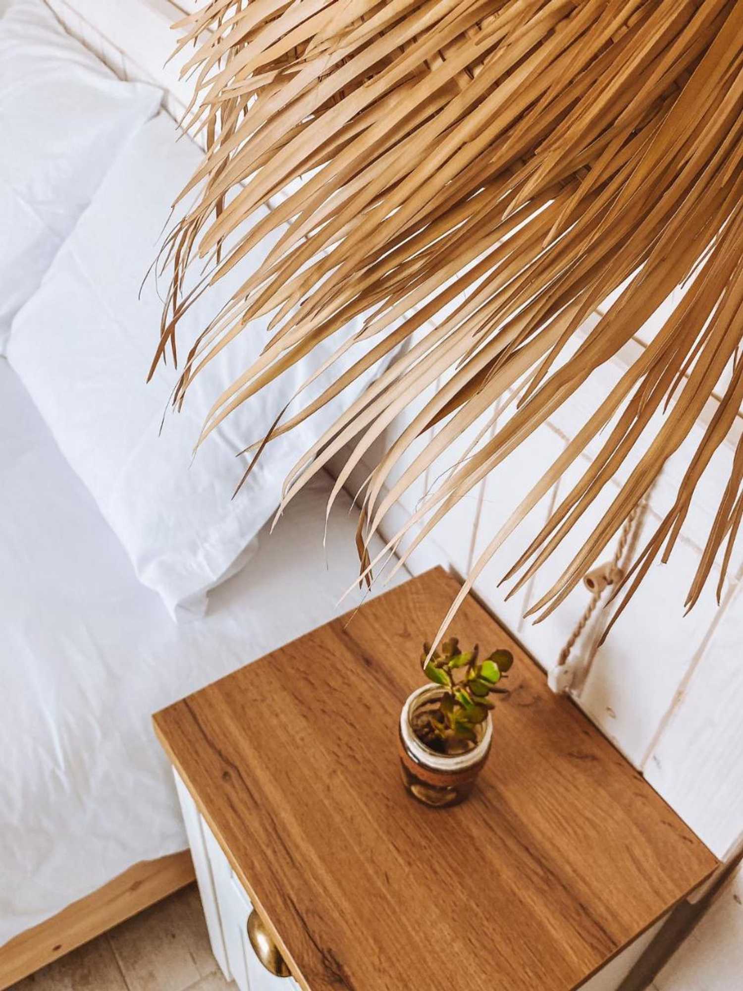 Gift card for Captain Cook