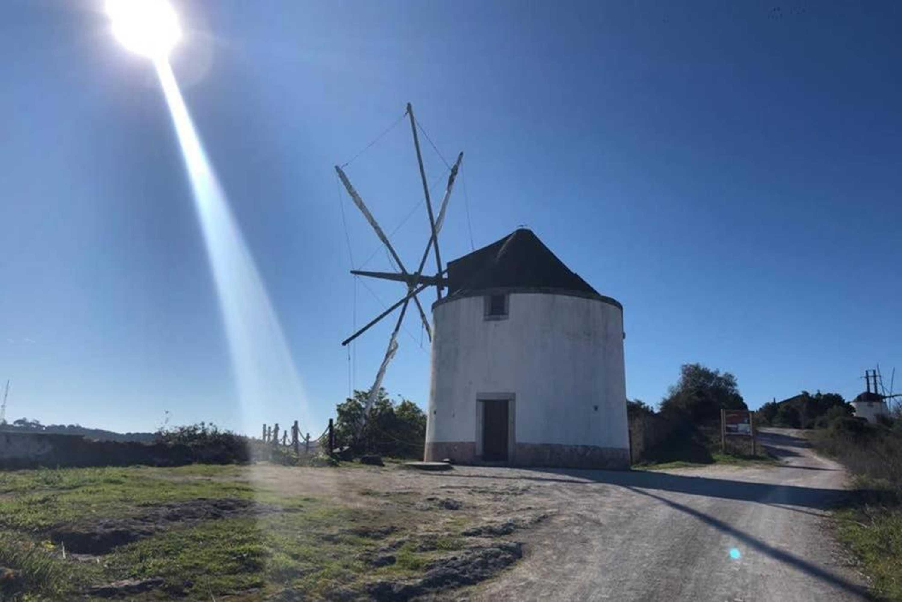 Gift card for Páteo da Memória Casa do Pintor