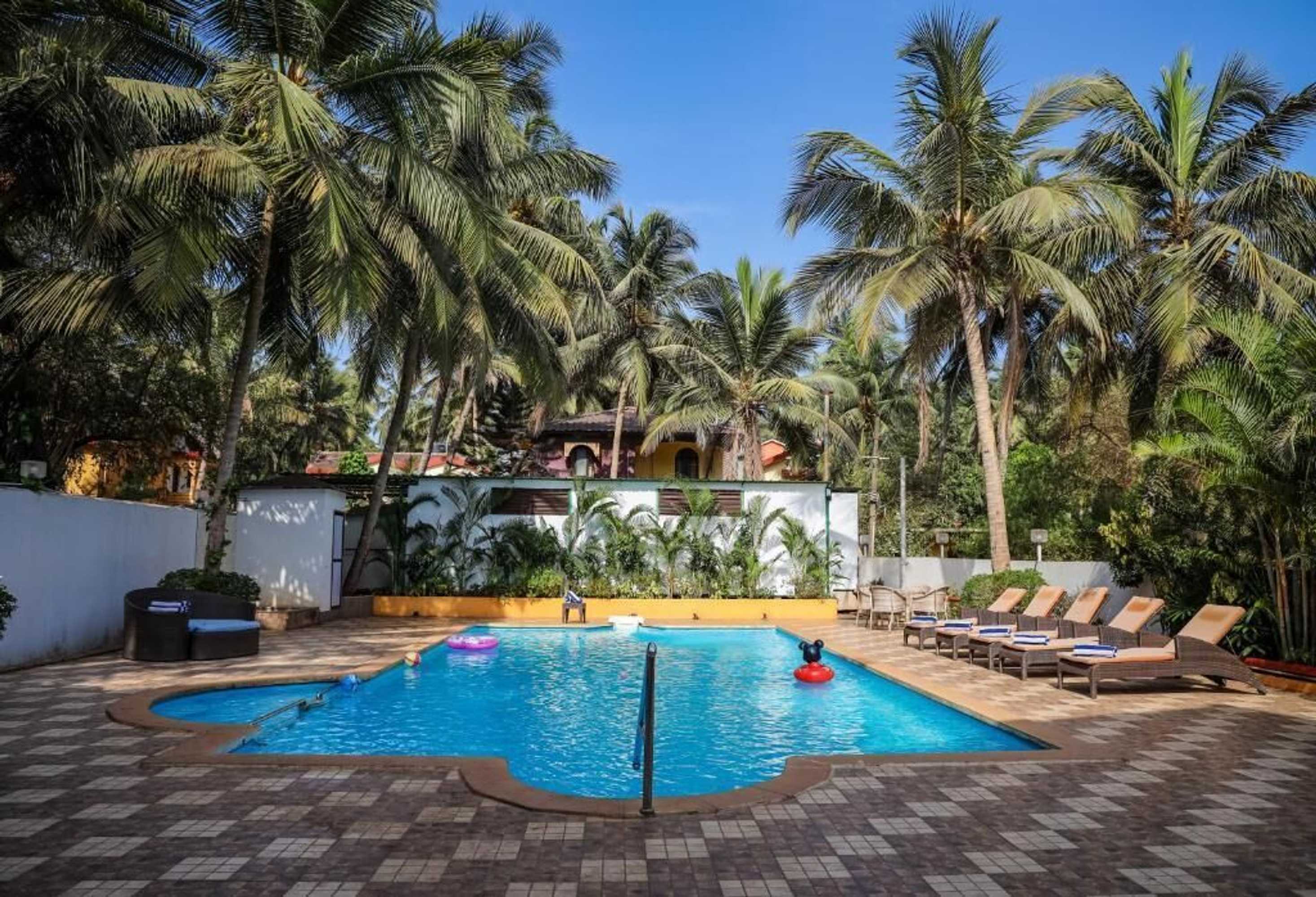 Gift card for Amor Beach Resort Gift card for Amor Beach Resort