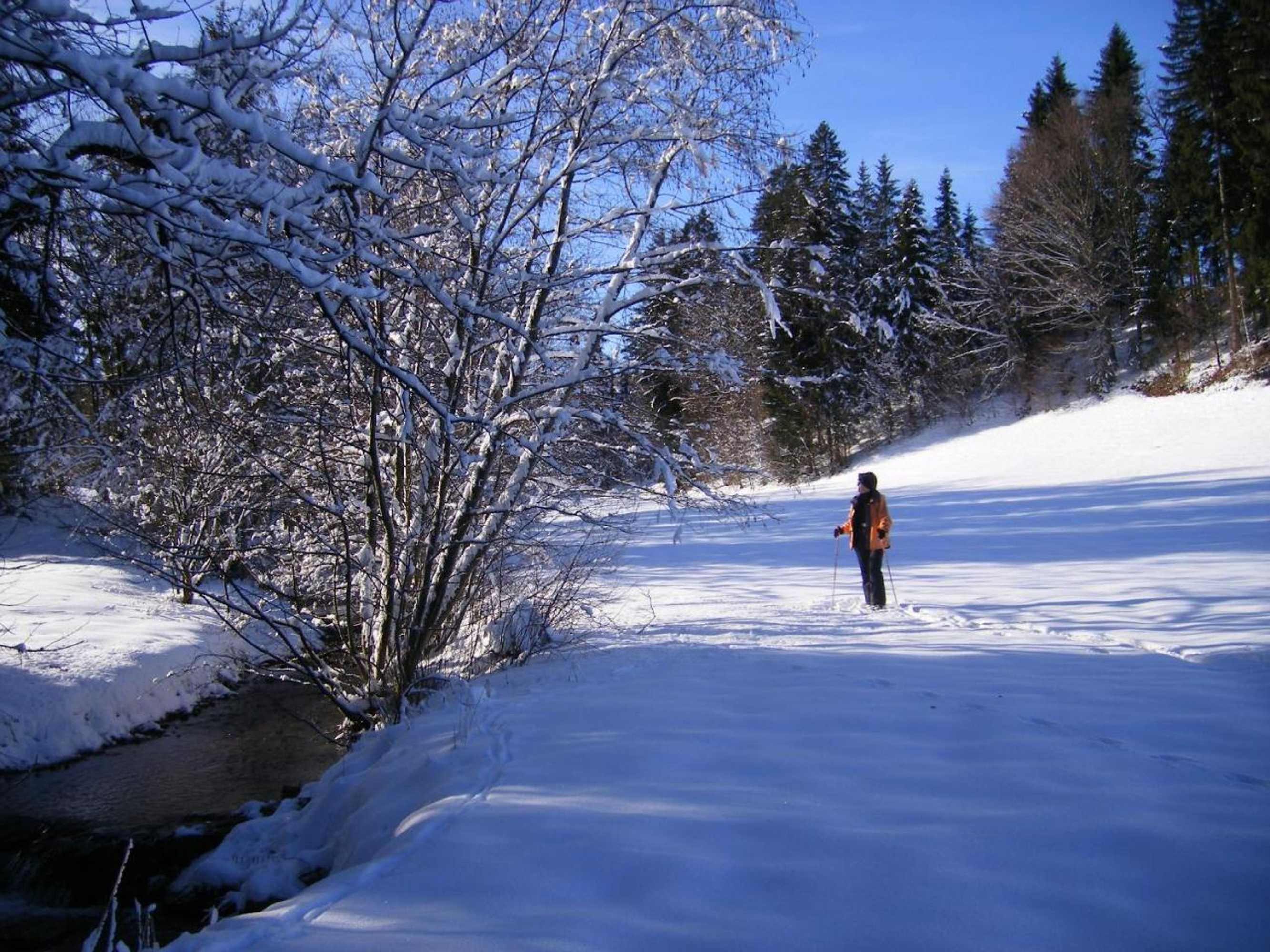 Gift card for Ferienwohnungen Frick