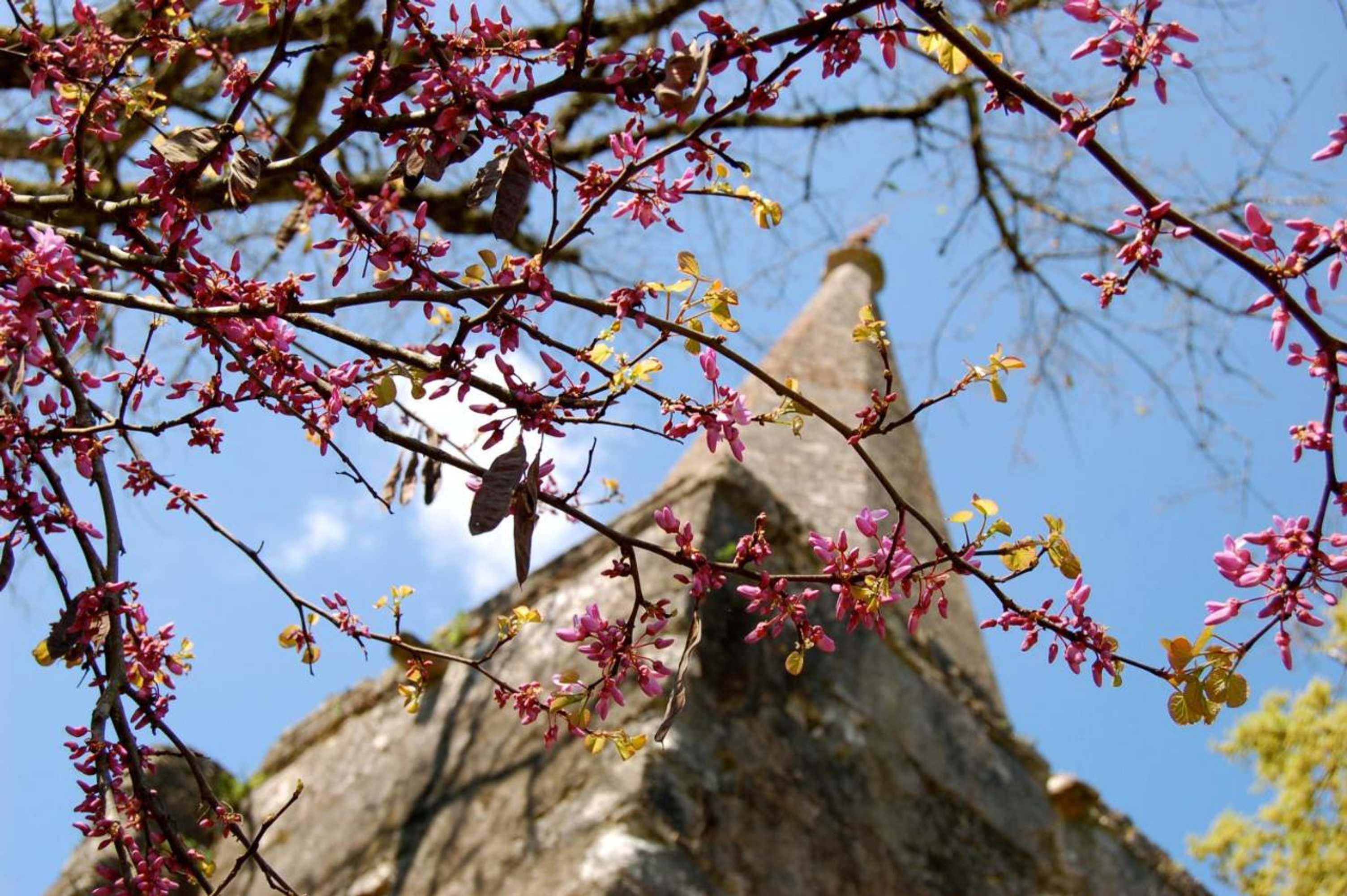 Gift card for Casa da Anunciada, Countryside Retreat