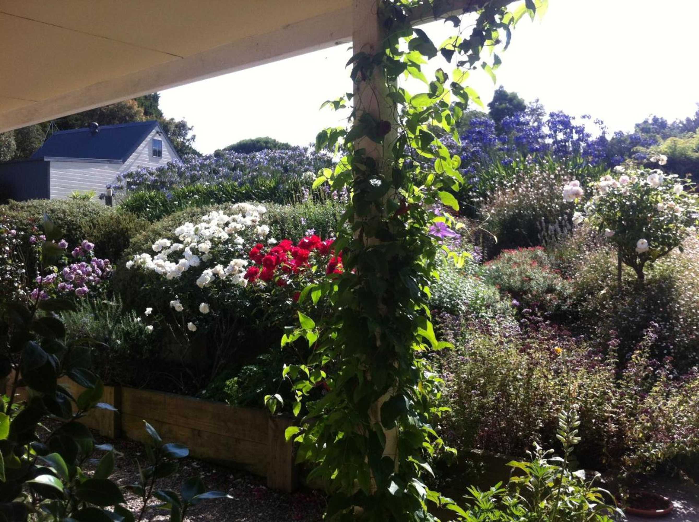 Gift card for Llarrinda Bed & Breakfast