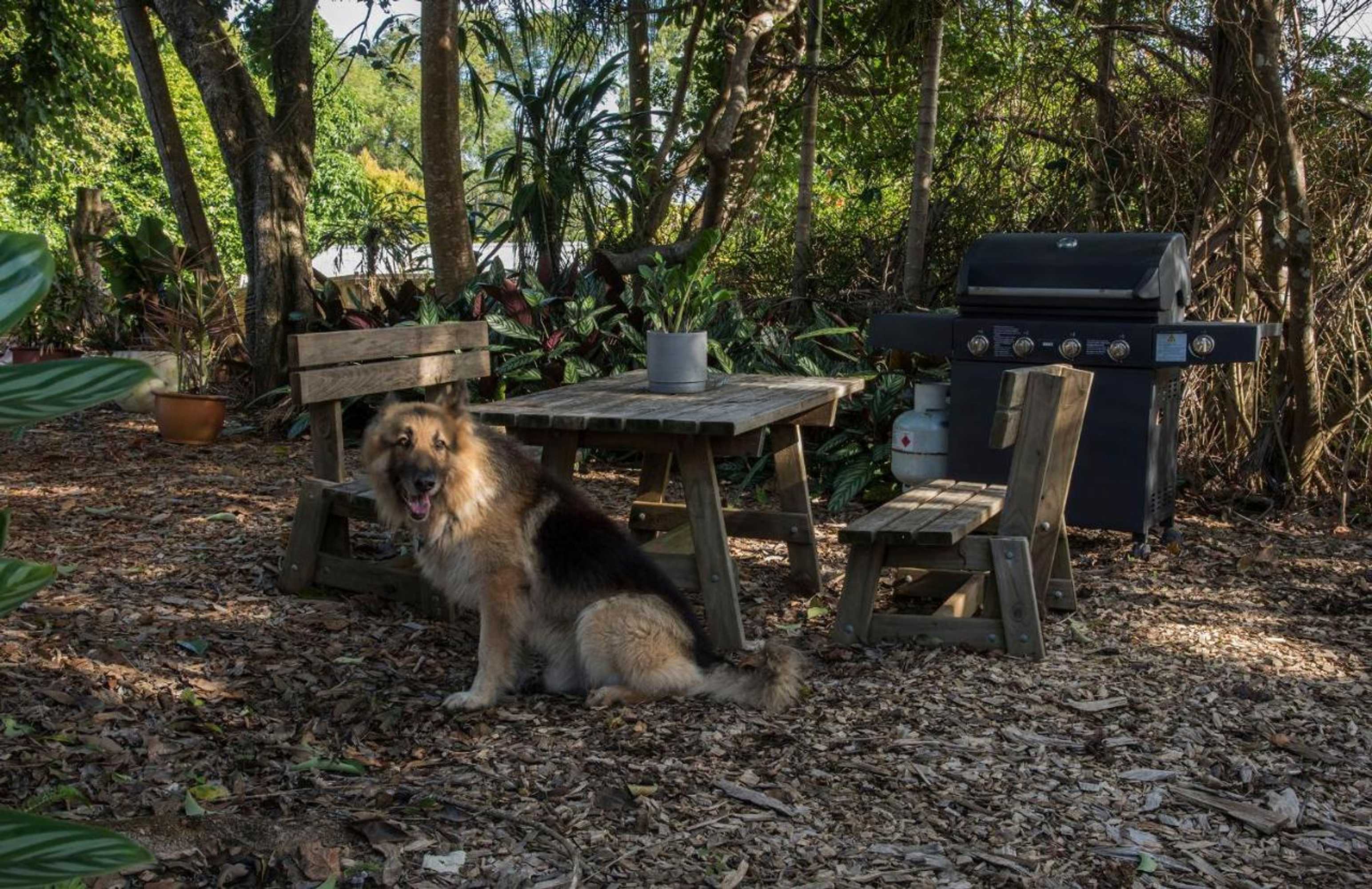 Gift card for Maleny Hills Motel