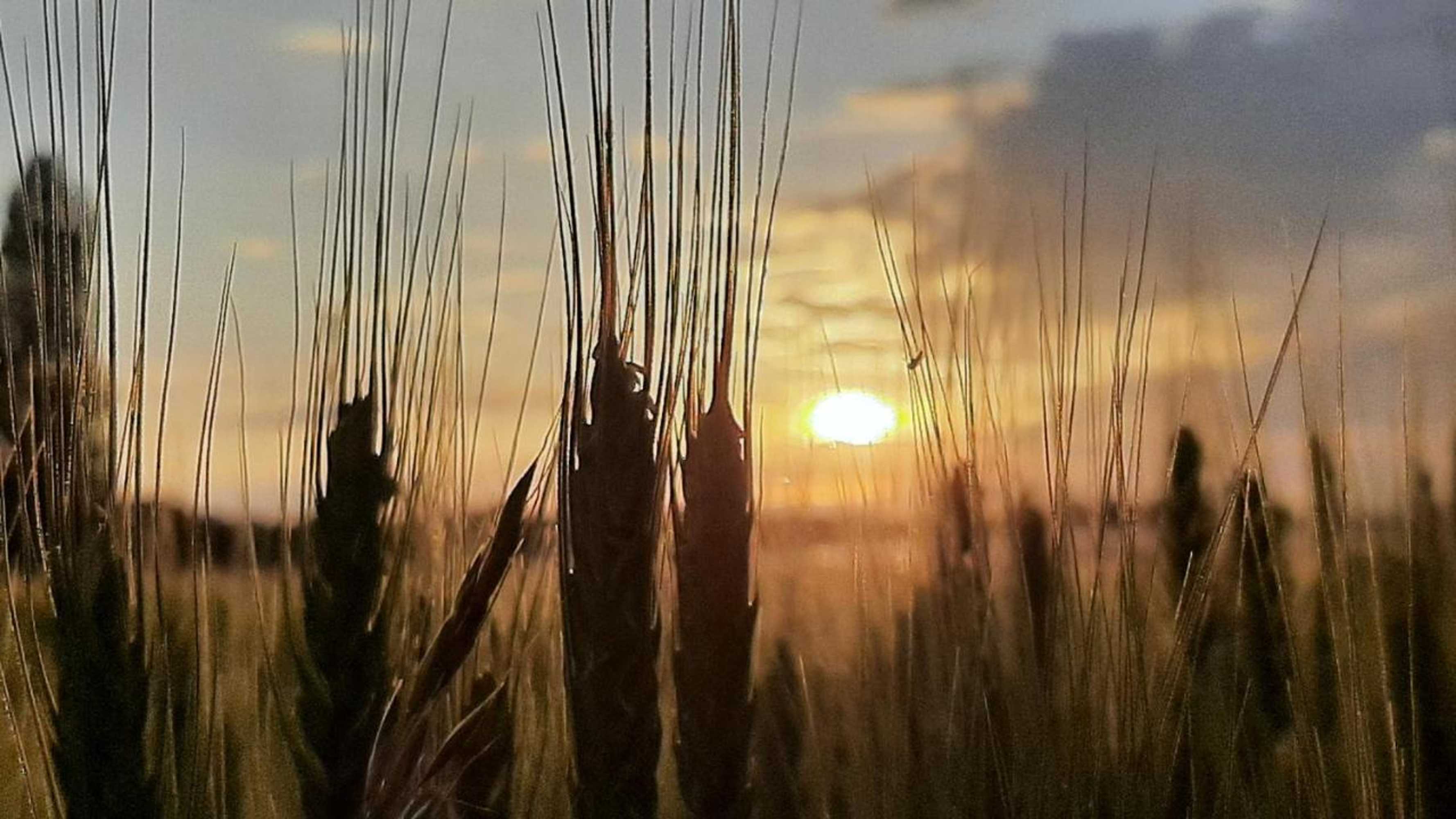 Gift card for Haus St.michael