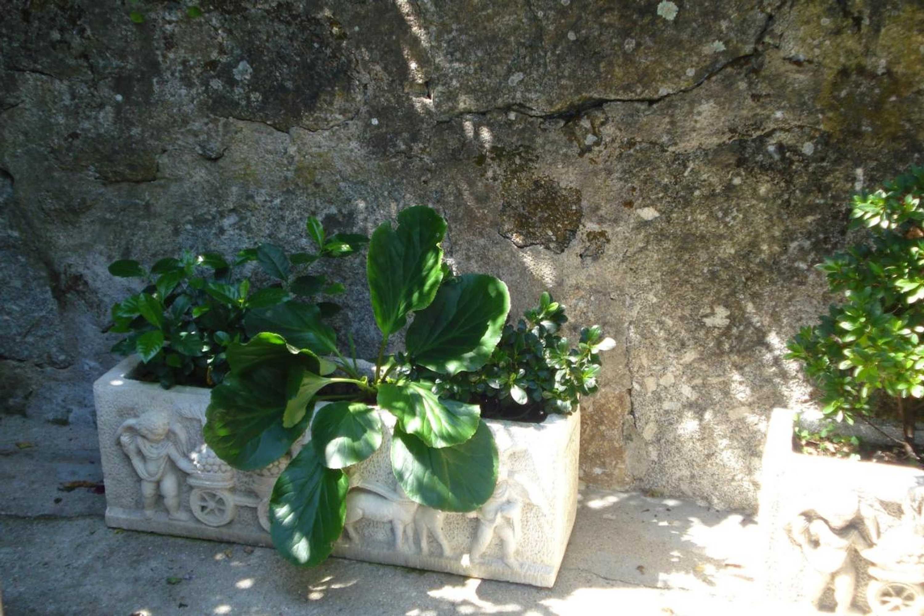 Gift card for Casa de Marlães