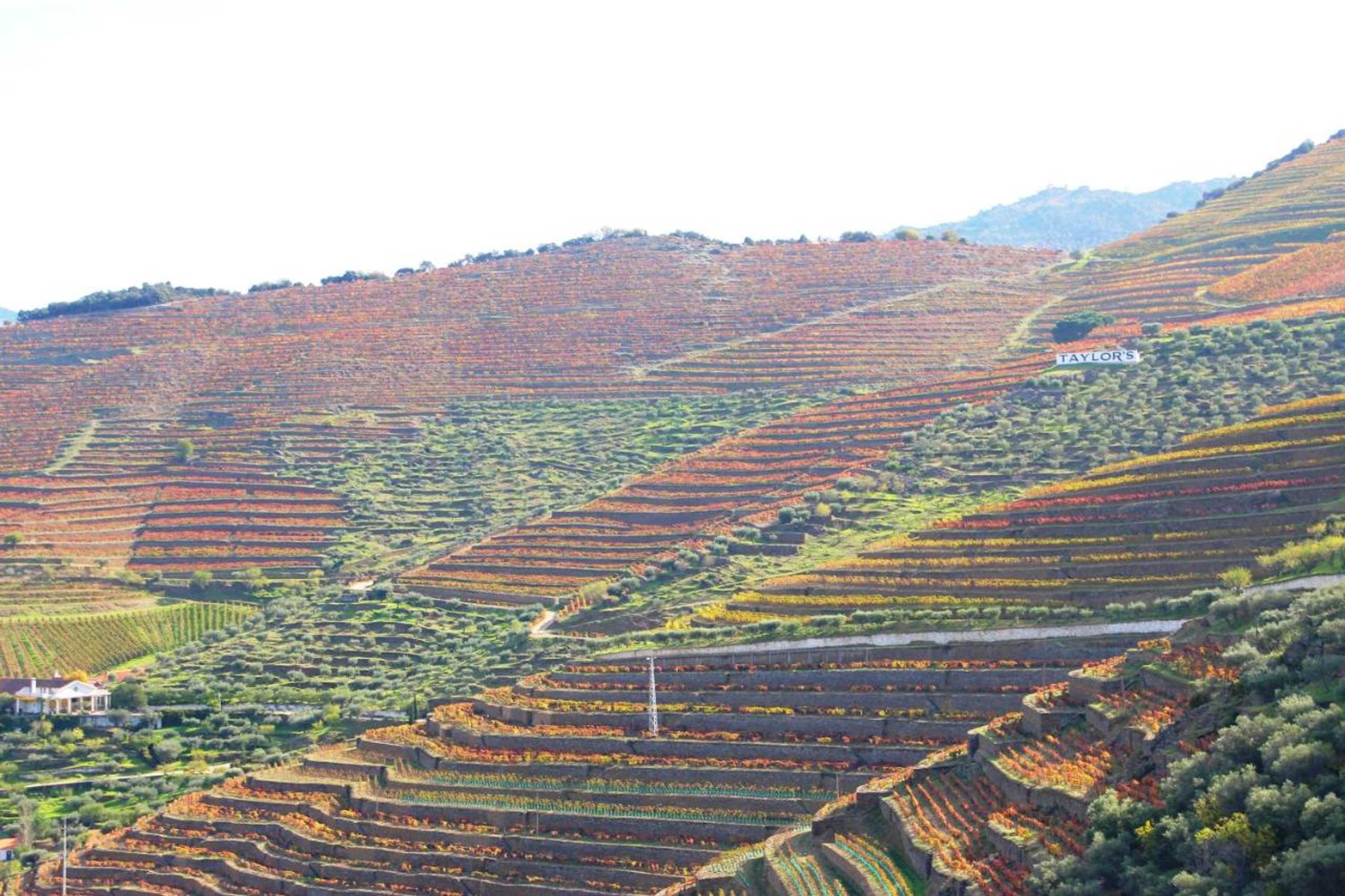 Gift card for Douro Yacht Charter & Bungalows