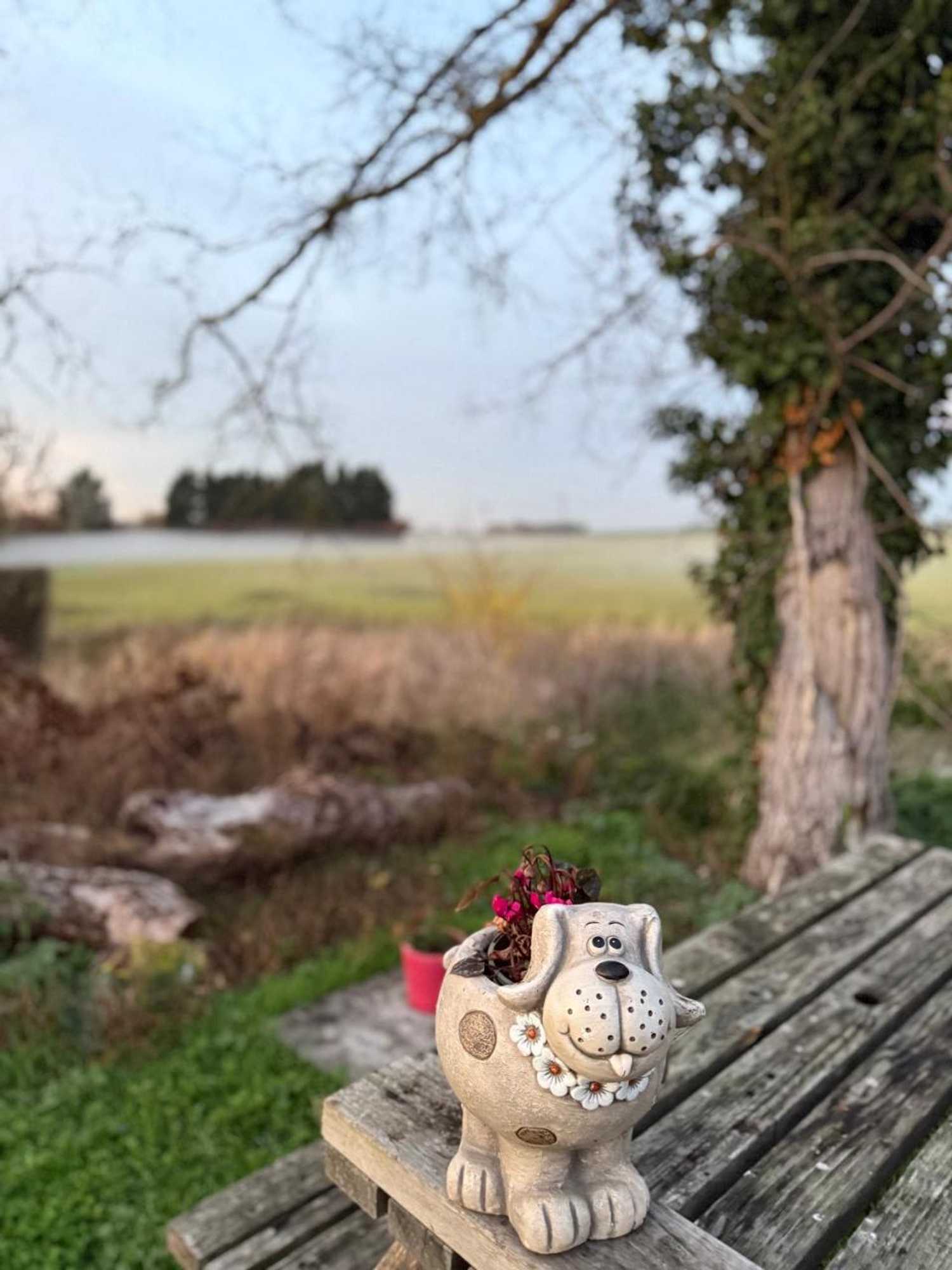 Gift card for Dog And Castle