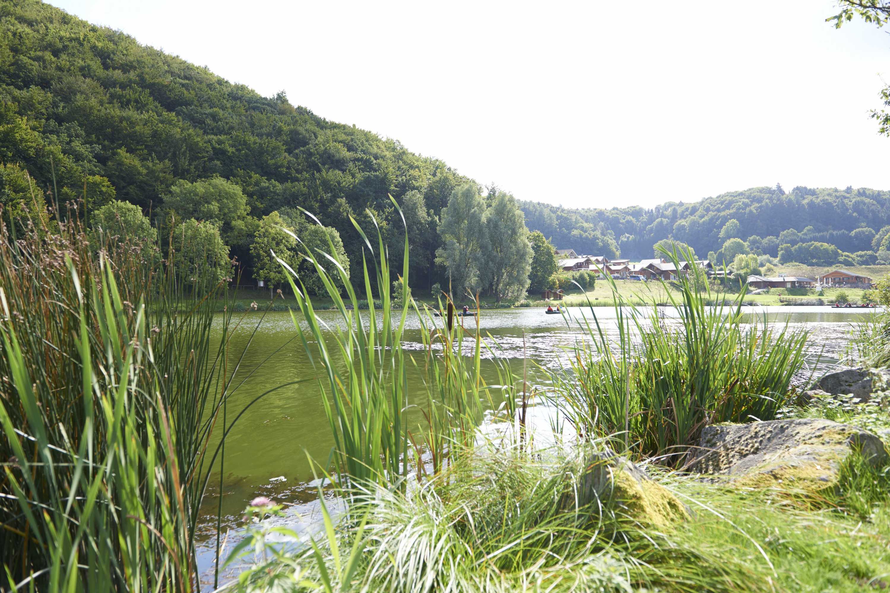 Gift card for Ferienhaus Lemon Tree