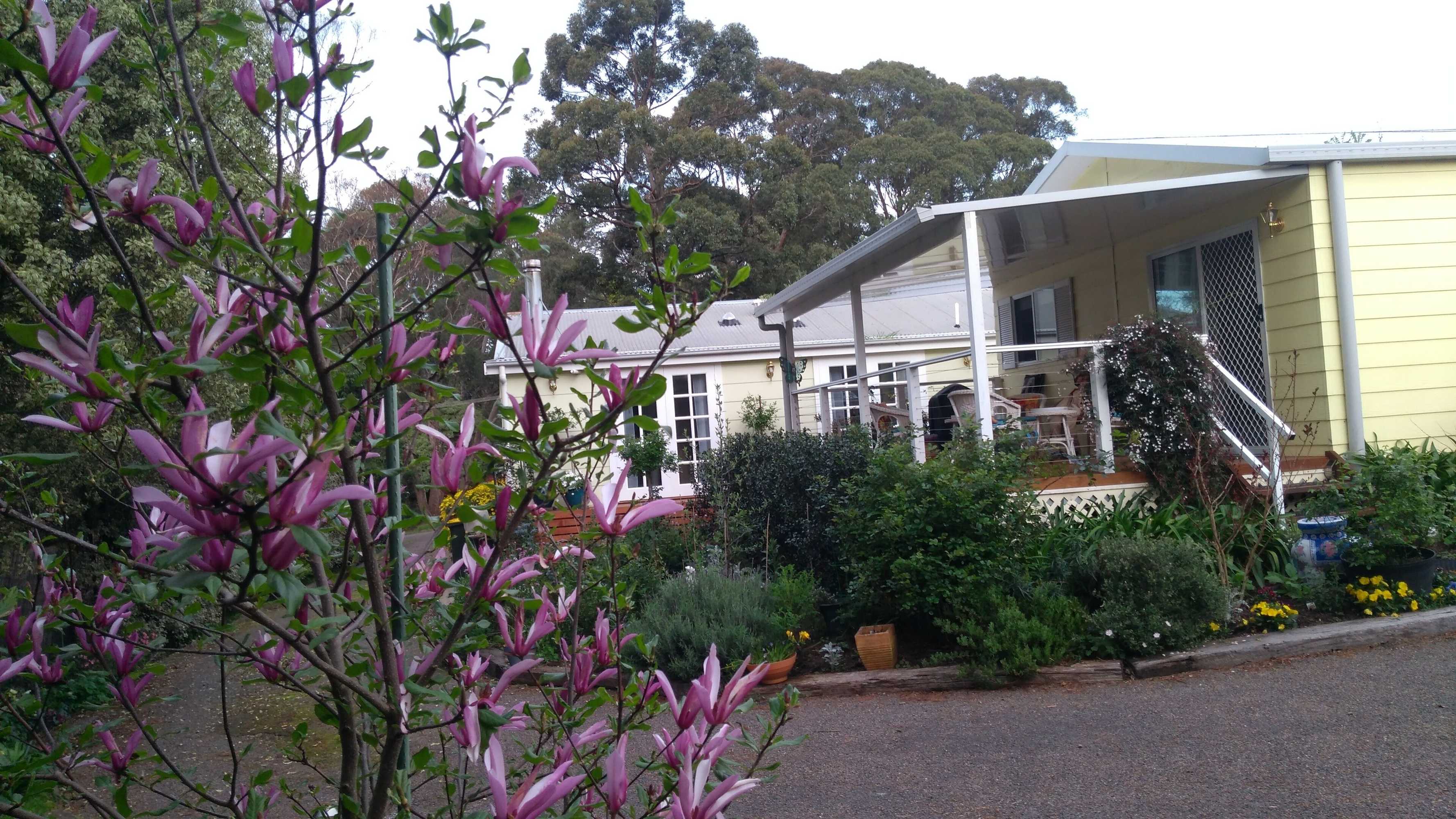 Gift card for The Best Exotic Magnolia Cottage Gift card for The Best Exotic Magnolia Cottage