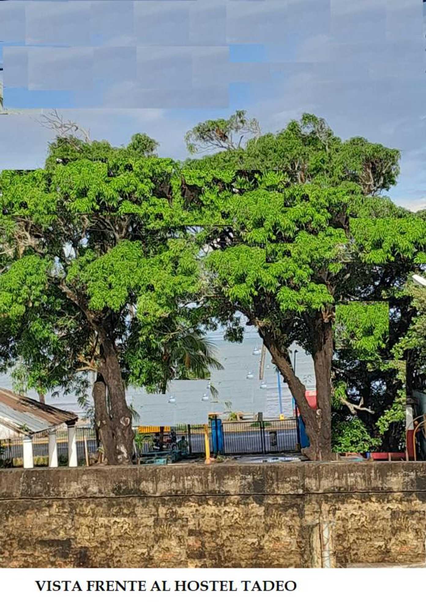 Gift card for Hostel Tadeo San Juan Del Sur Gift card for Hostel Tadeo San Juan Del Sur