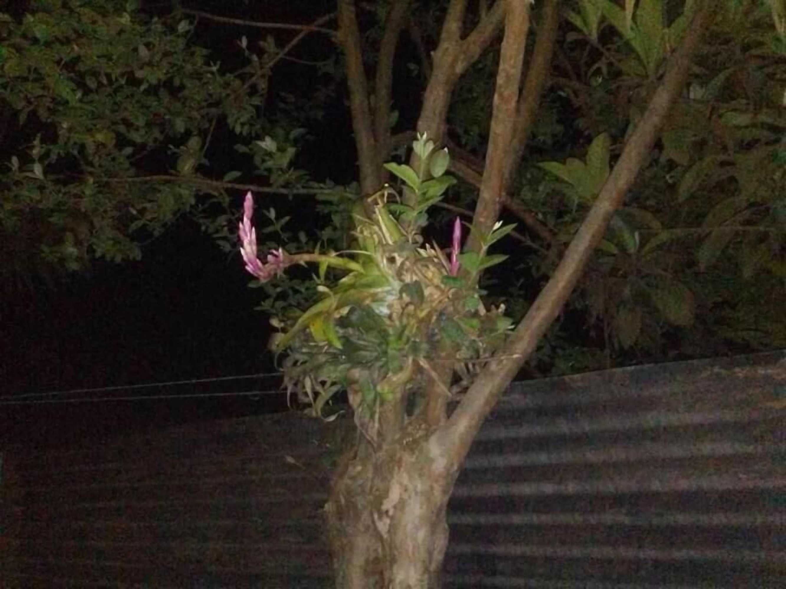 Gift card for Coraizone Hostal - Hostel