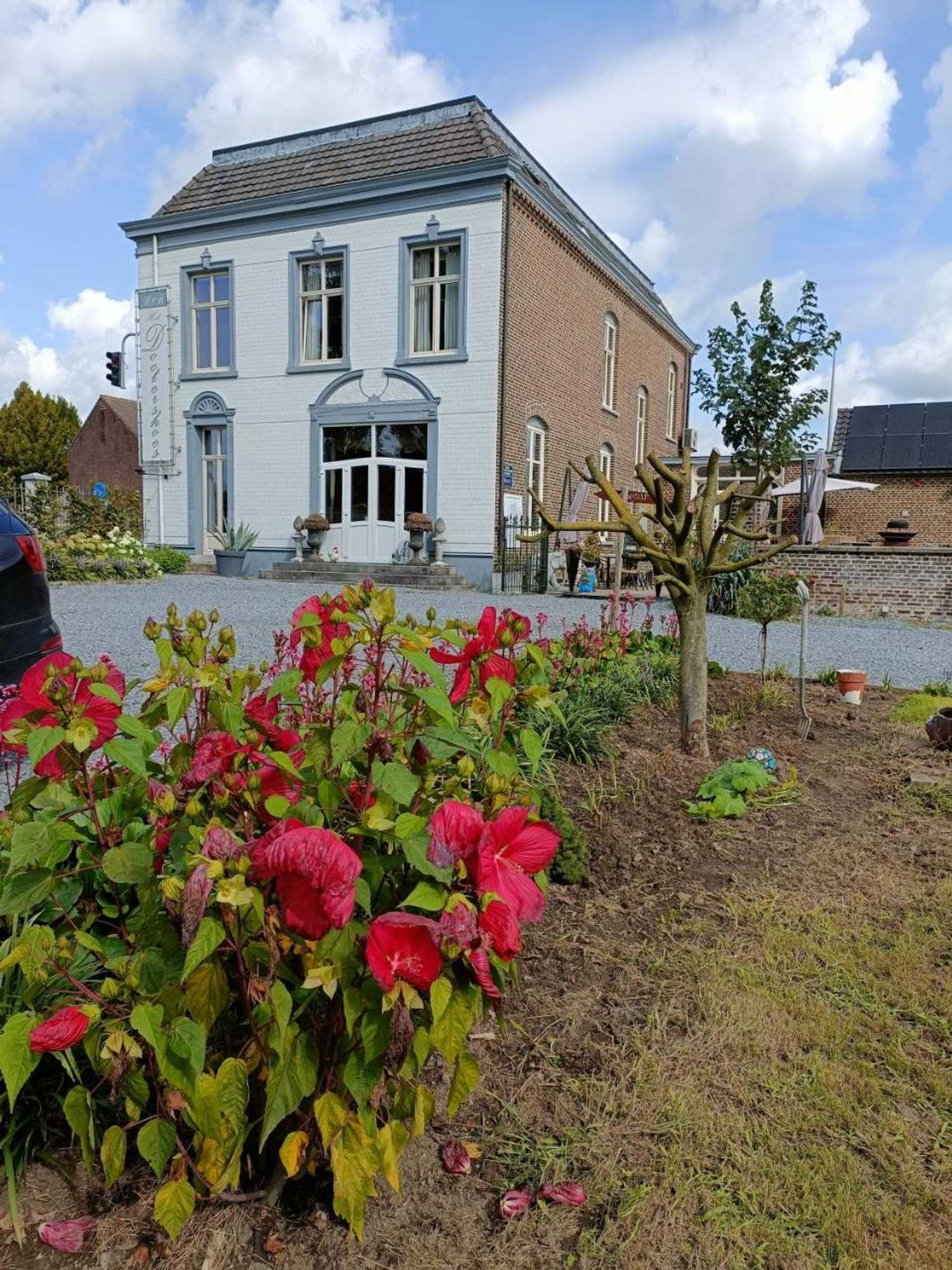 Gift card for B&b Het Doctershoes