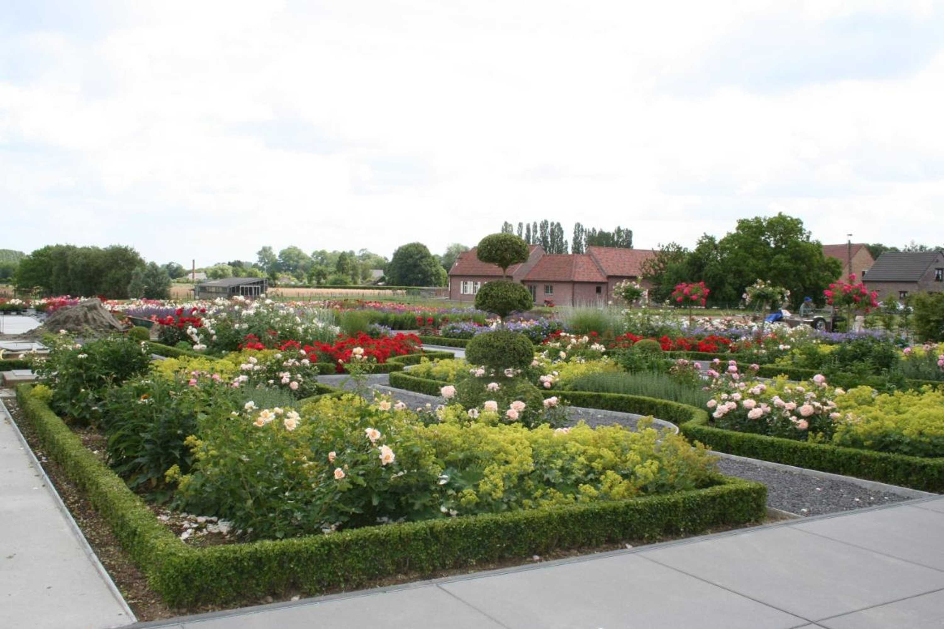 Gift card for B&b La Vie En Roses