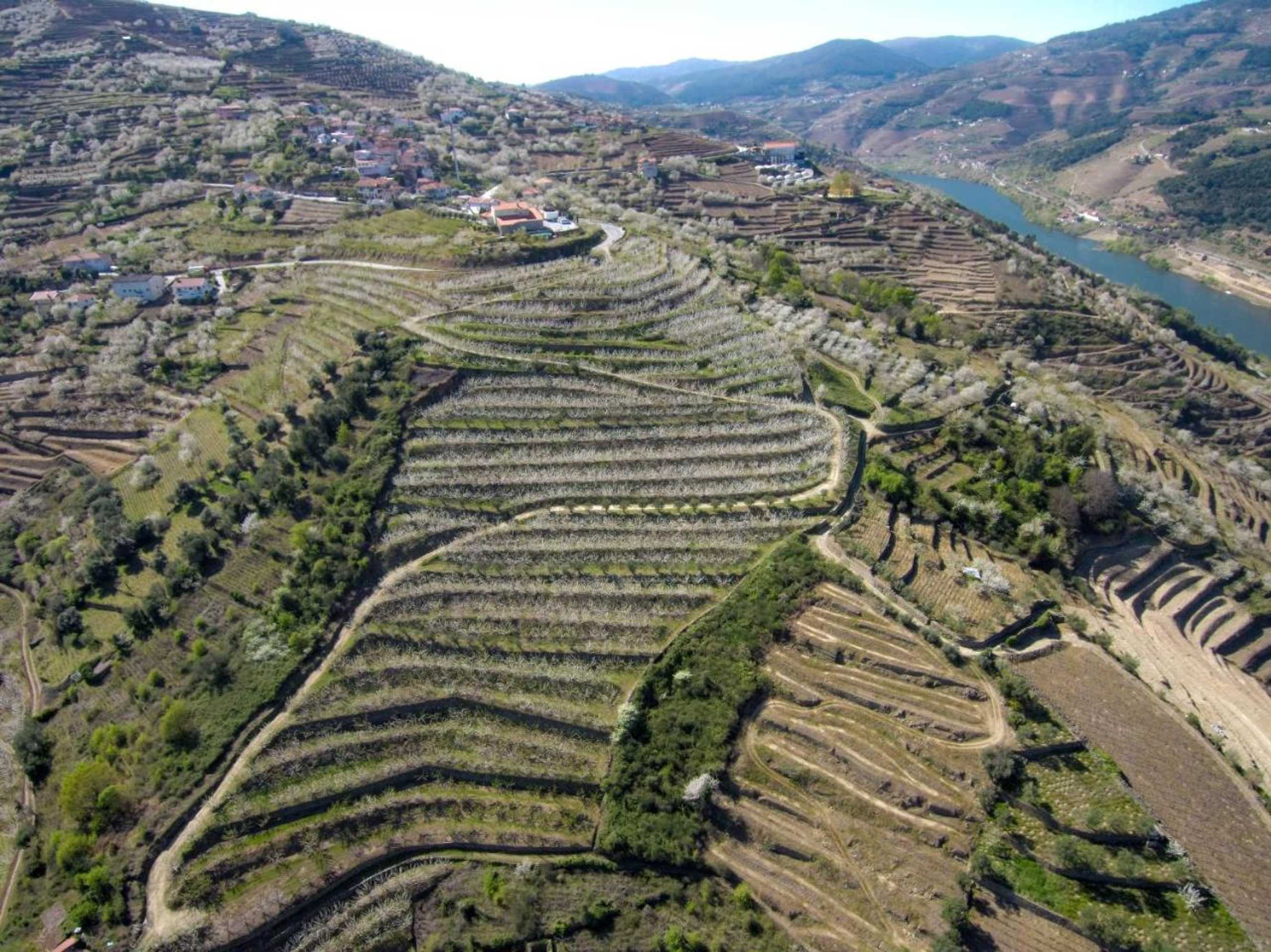 Gift card for Quinta do Pombal Douro Gift card for Quinta do Pombal Douro