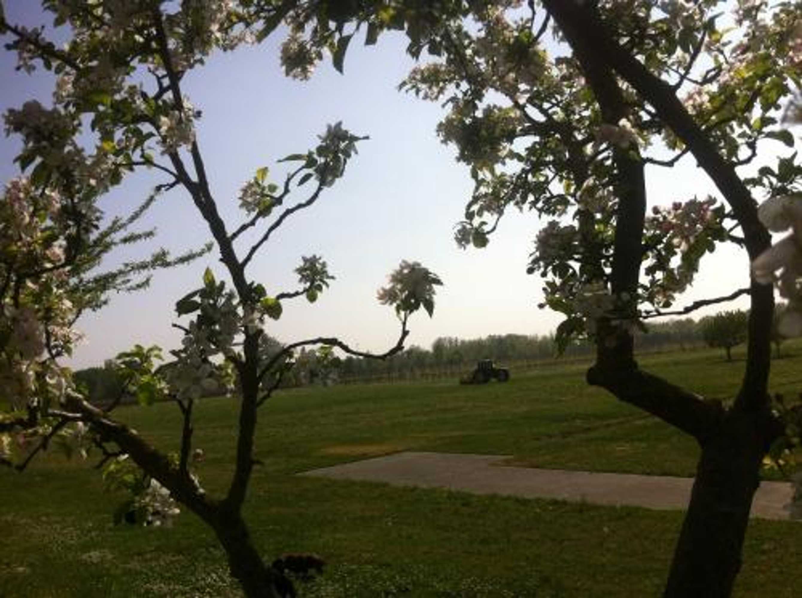Gift card for Agriturismo Al Casale Gift card for Agriturismo Al Casale