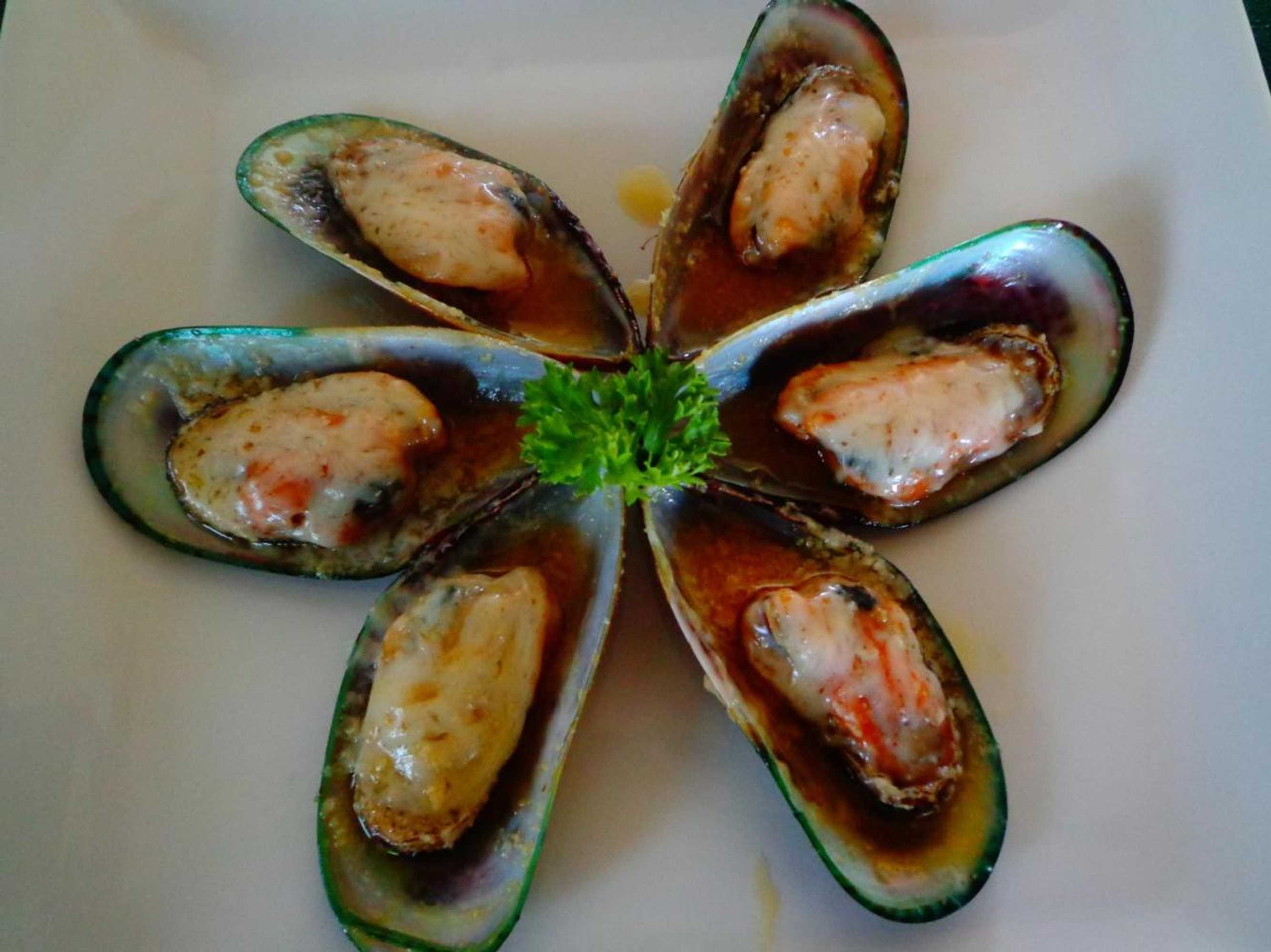 Gift card for Hotel Maya Vista