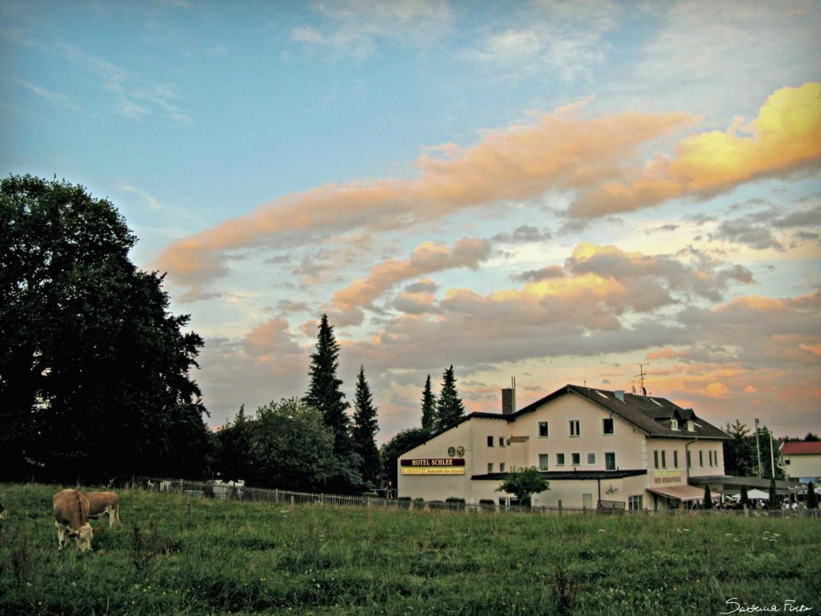 Gift card for Hotel Schlee