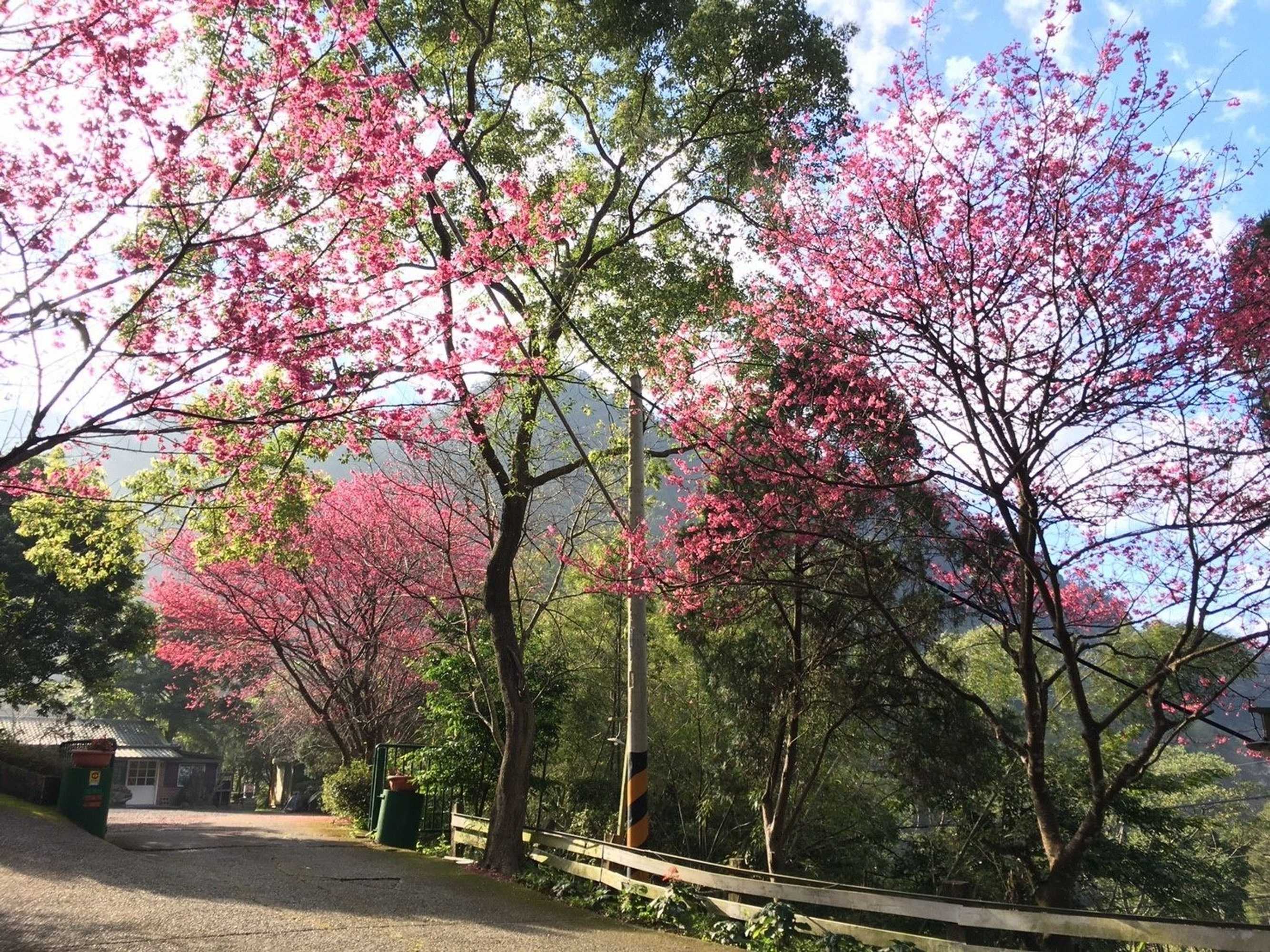 Gift card for Xianshan Homestay