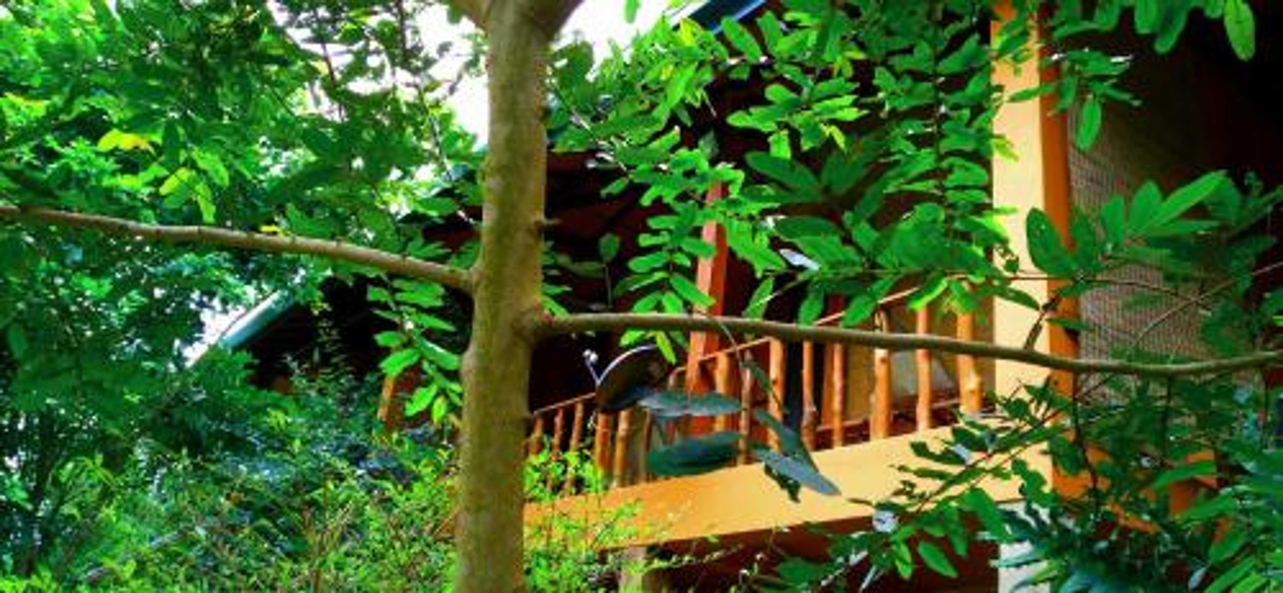 Gift card for Luck Uyana Cabana Pinnawala Gift card for Luck Uyana Cabana Pinnawala