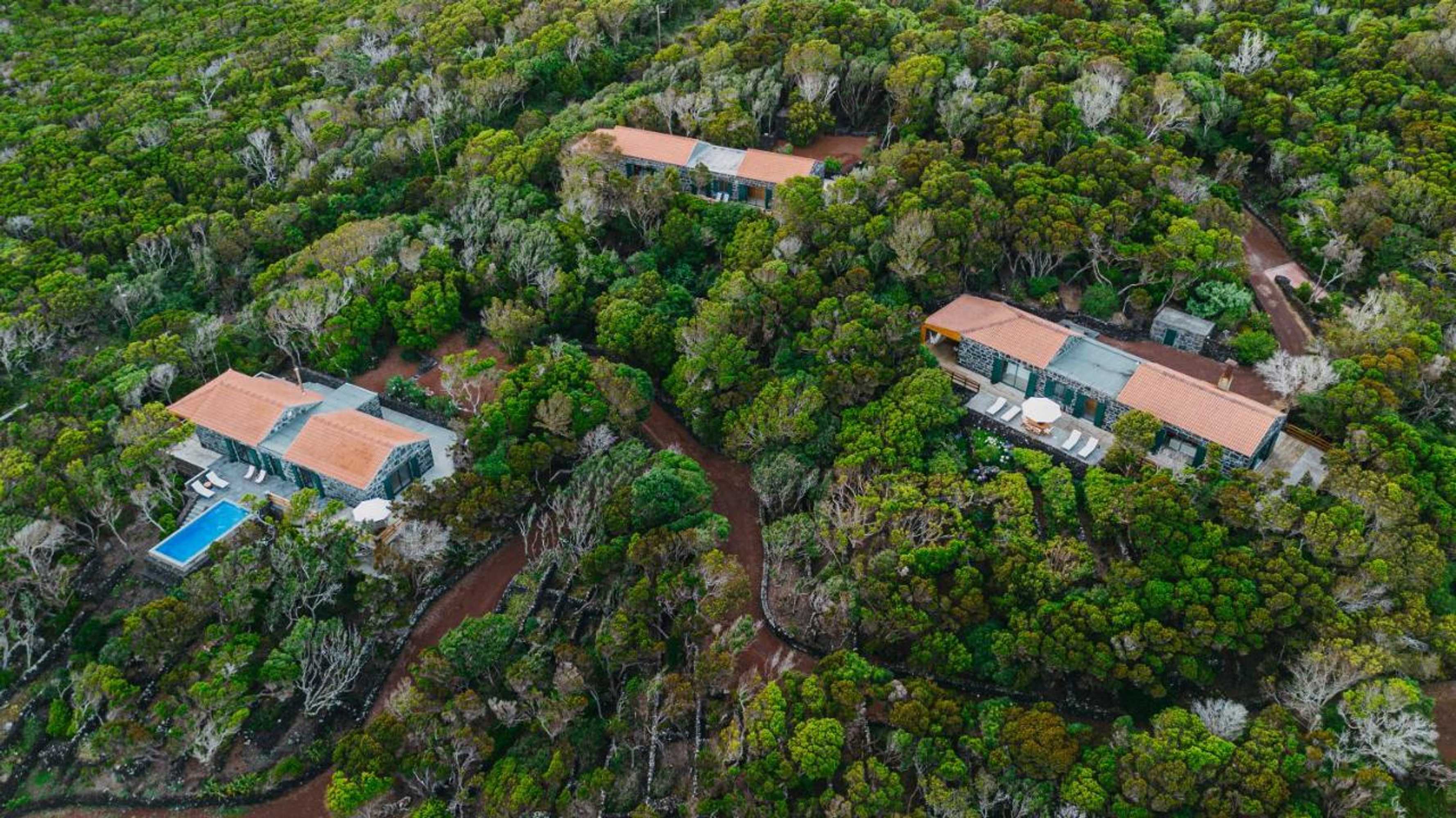 Gift card for Pocinhobay