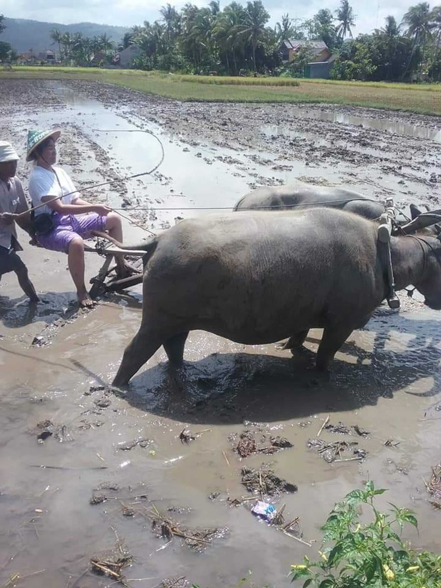 Gift card for Narti Homestay