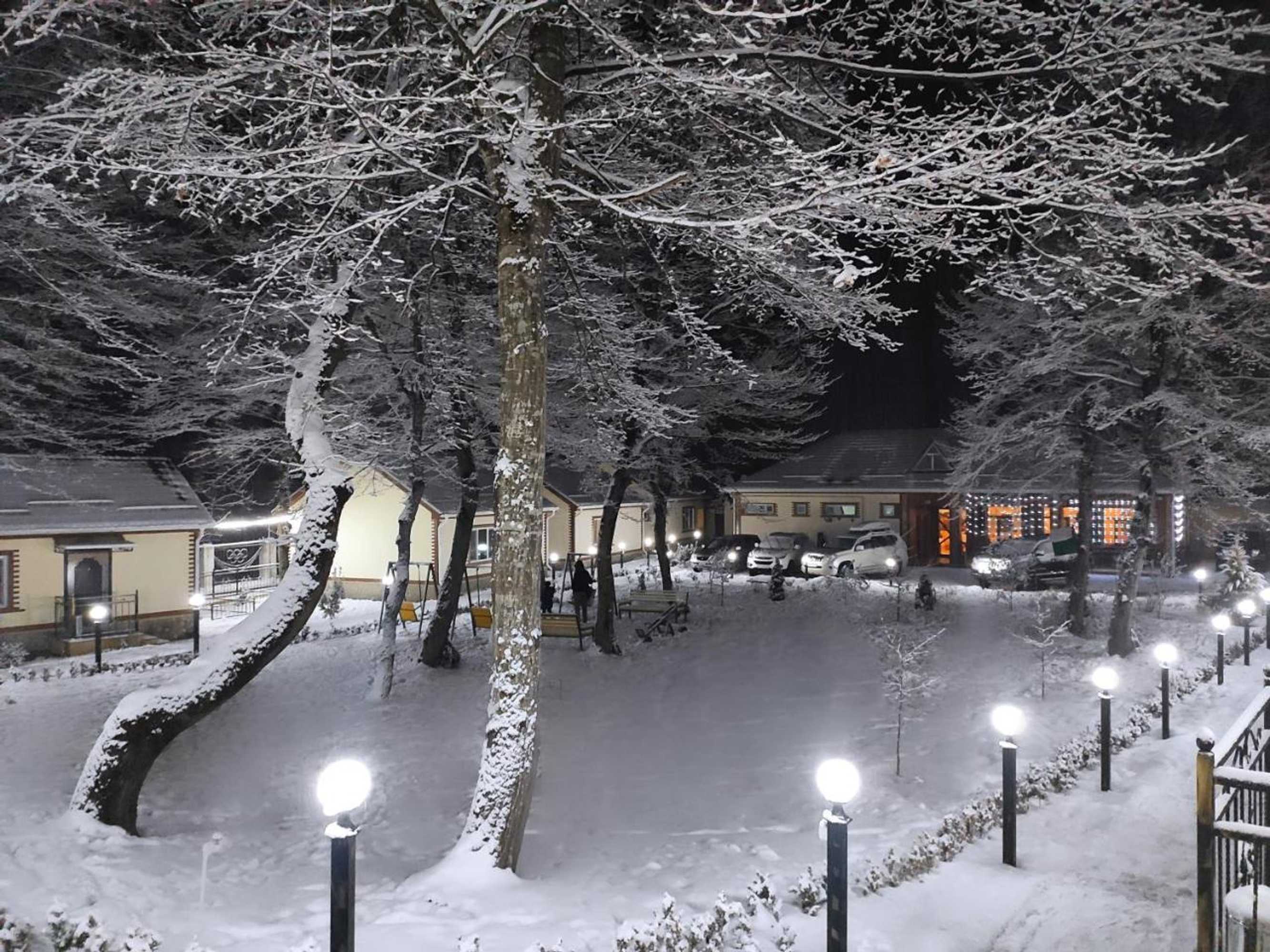 Gift card for Selena