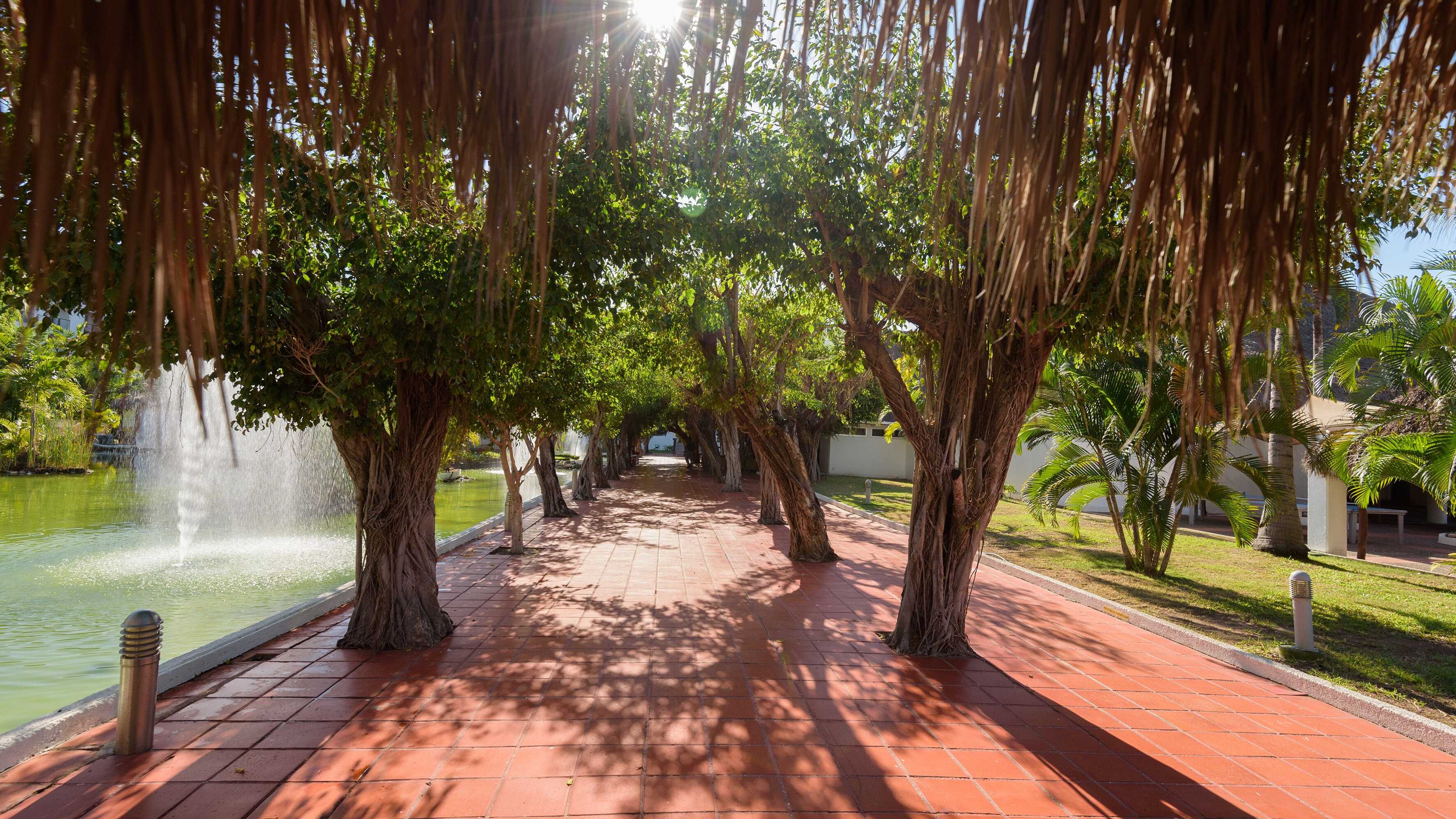 Gift card for Melia Puerto Vallarta - All Inclusive Gift card for Melia Puerto Vallarta - All Inclusive