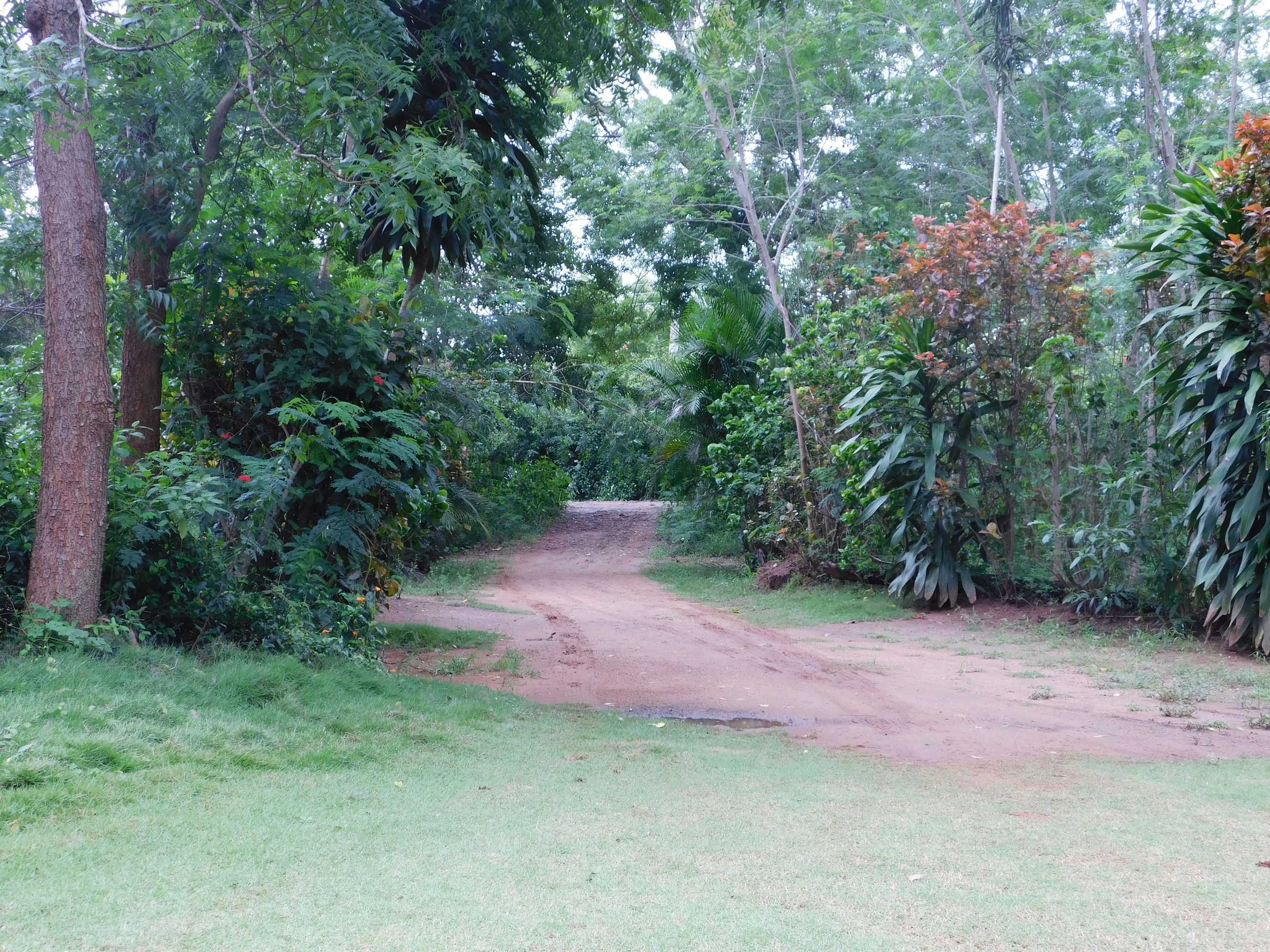 Gift card for Yala Avian Eye Safari Gift card for Yala Avian Eye Safari