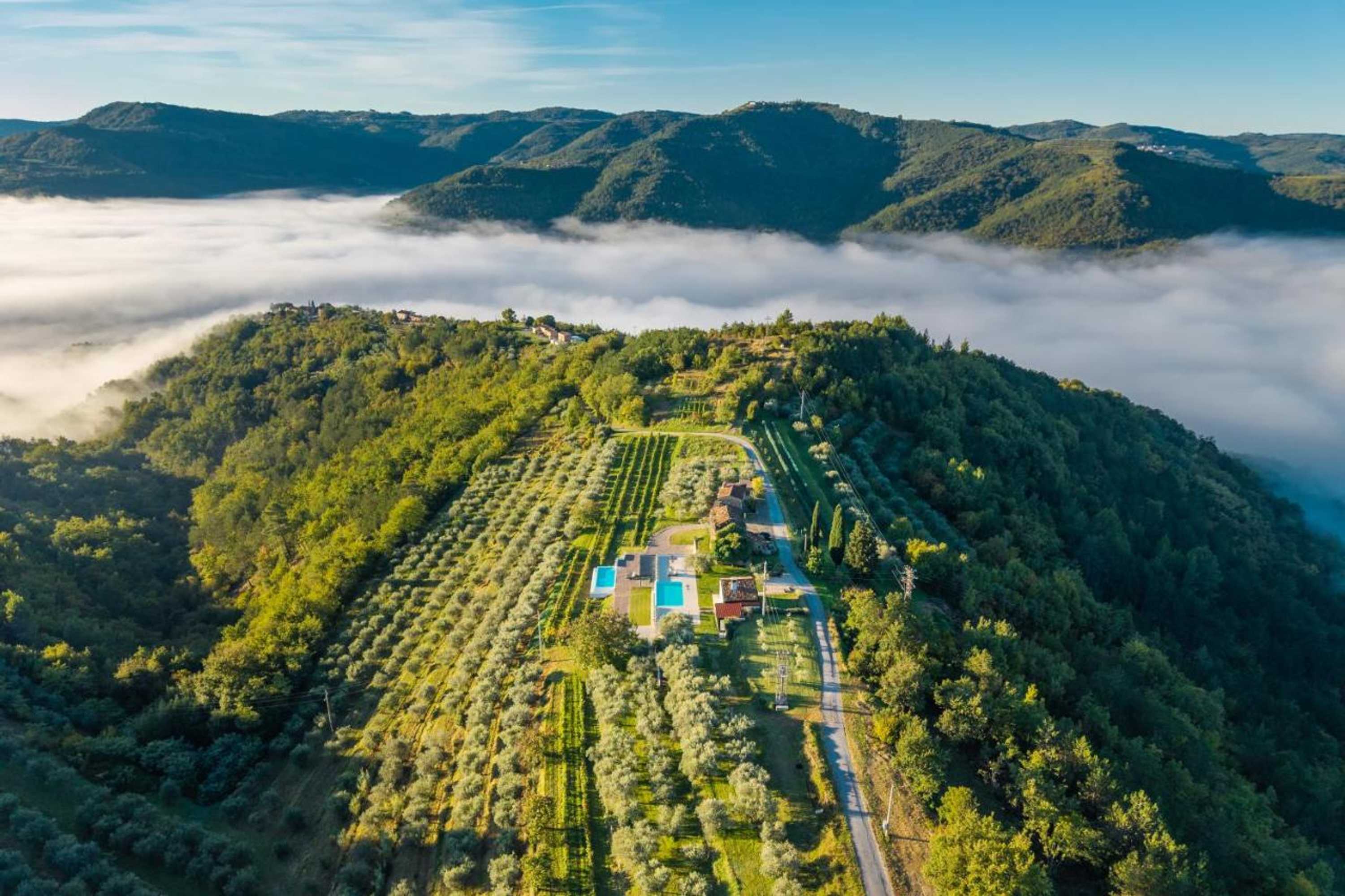 Gift card for Casa Mille Olivi