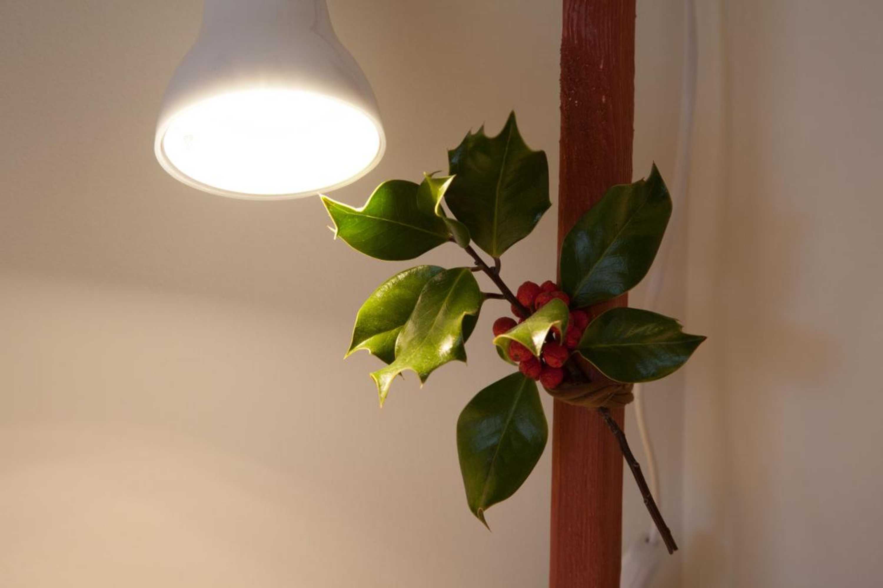 Gift card for Casa Mariolas