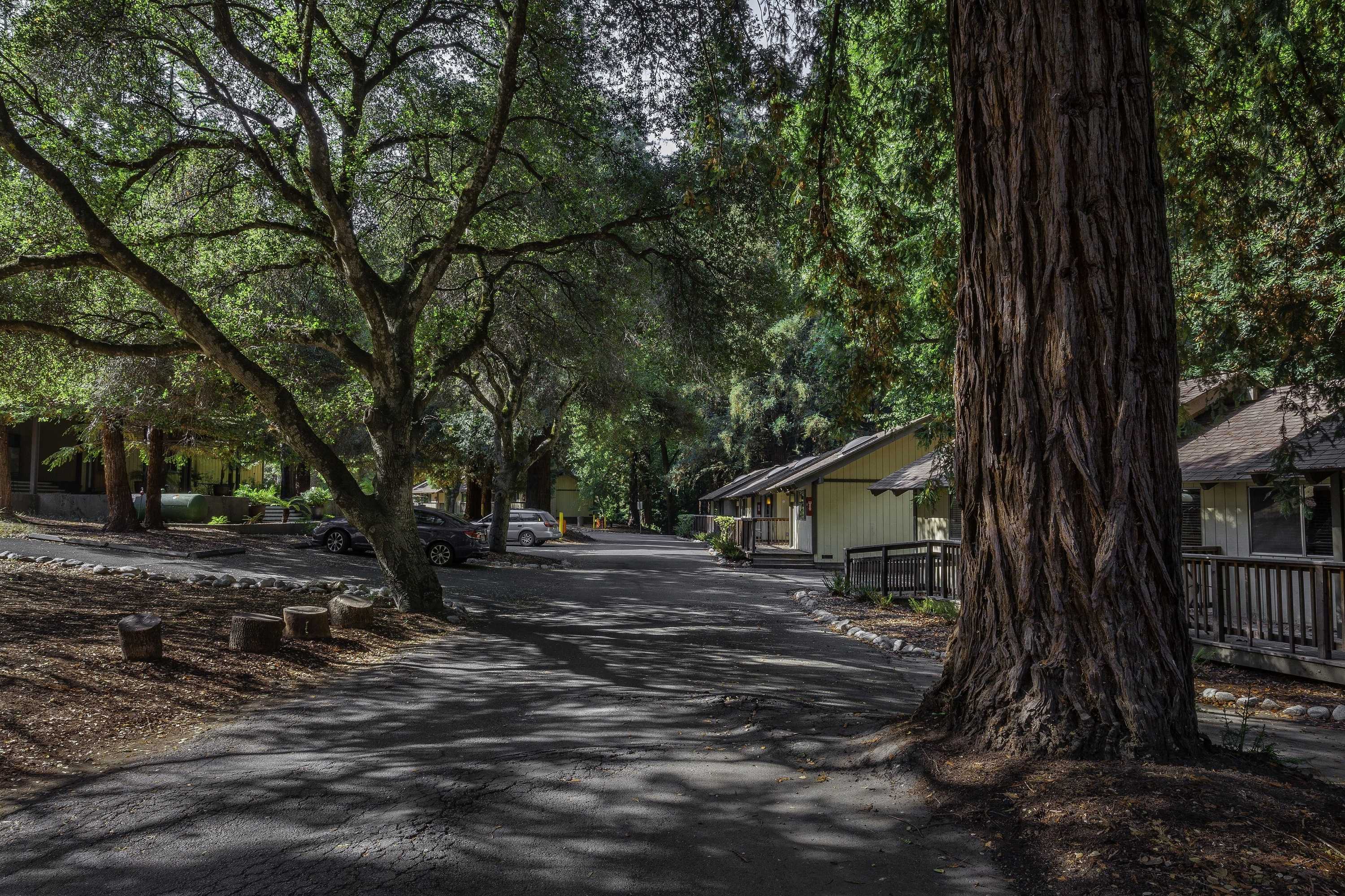 Gift card for Big Sur Lodge Gift card for Big Sur Lodge