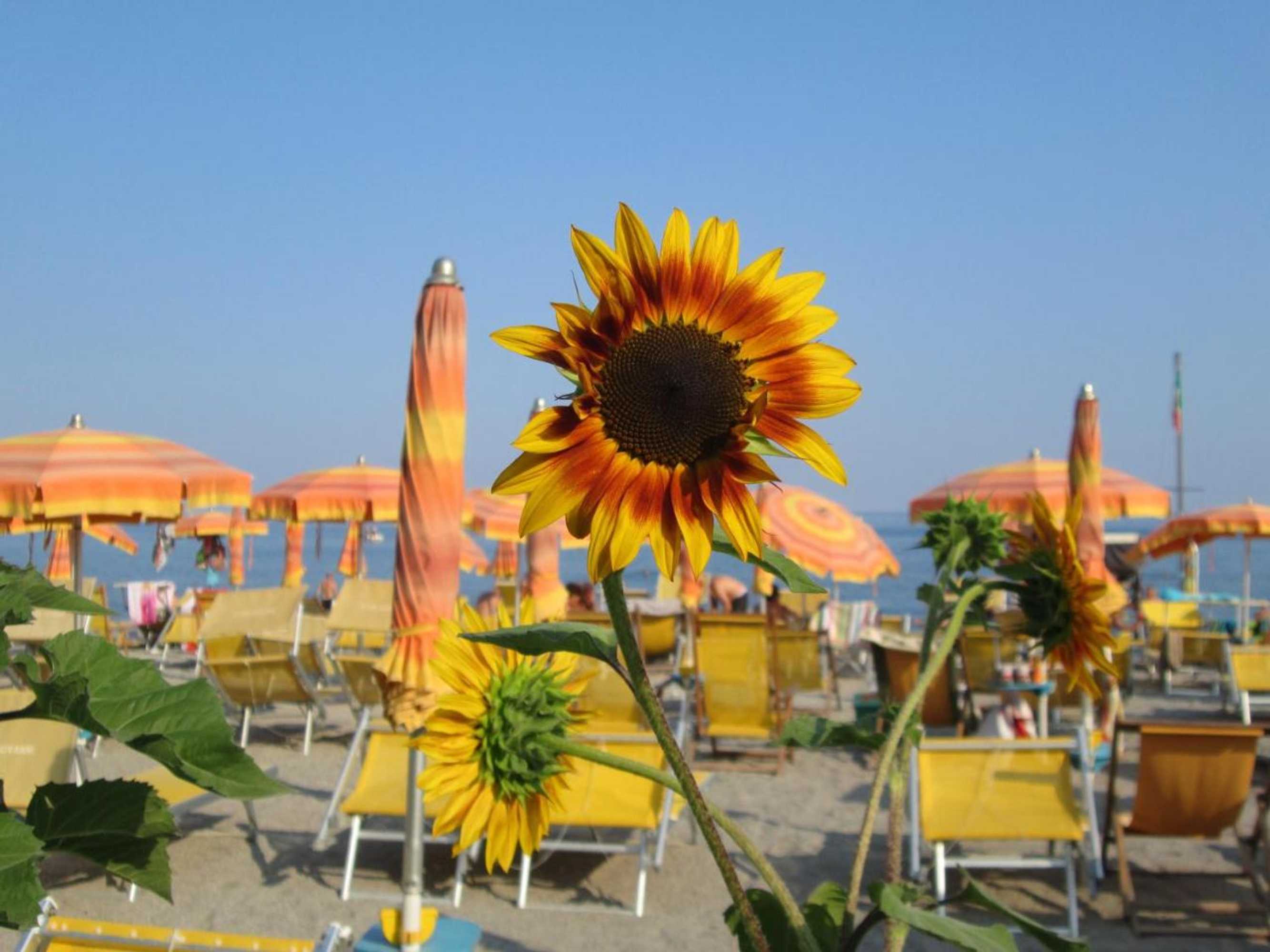 Gift card for Residence Mare Verde