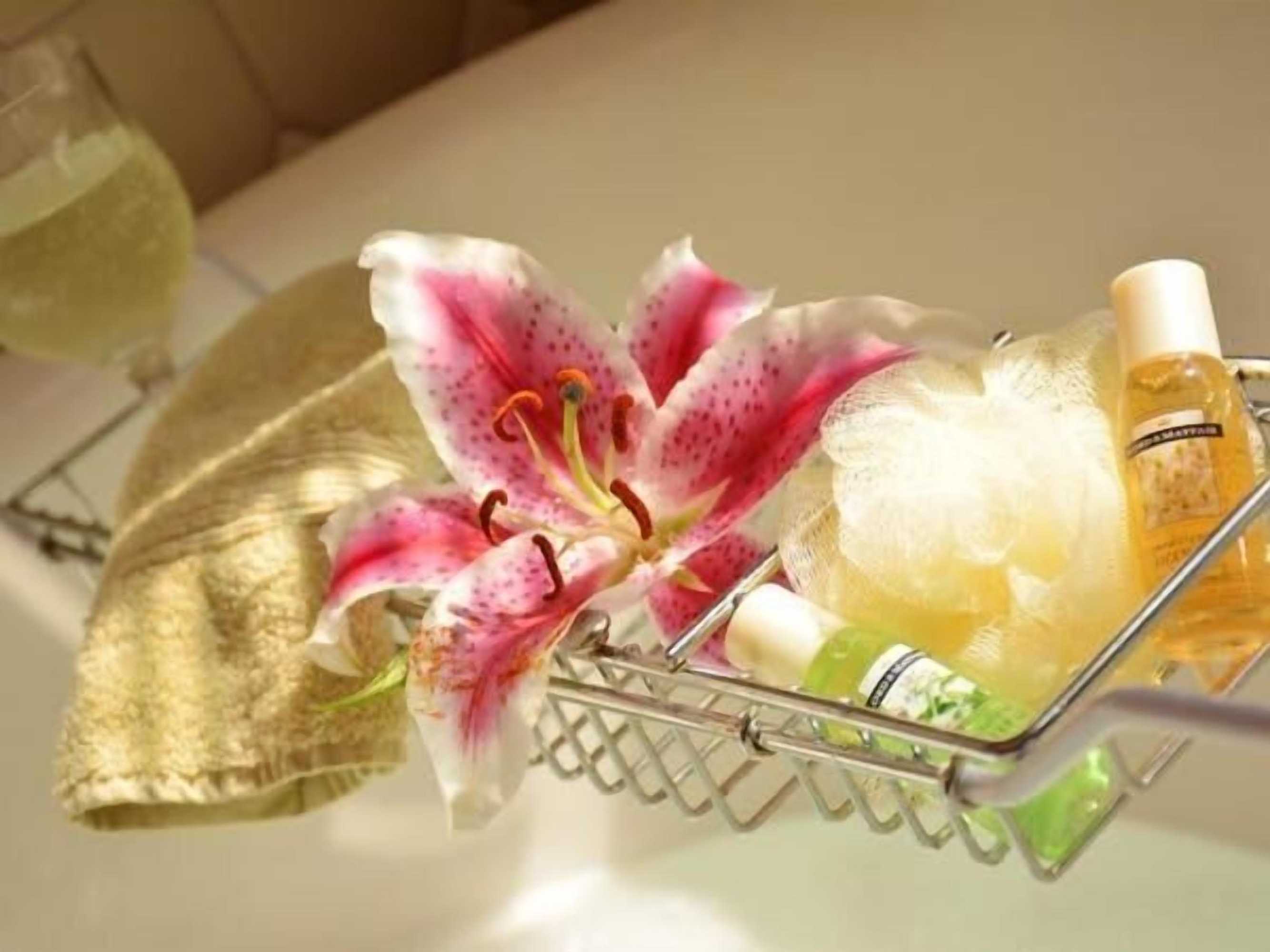 Gift card for Manayunk Chambers Guest House Gift card for Manayunk Chambers Guest House