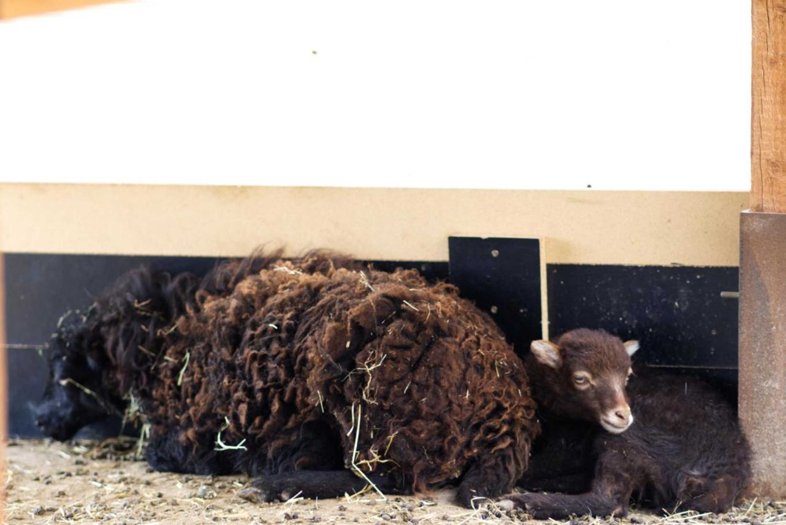 Gift card for Gästehaus Kirchenbauerhof