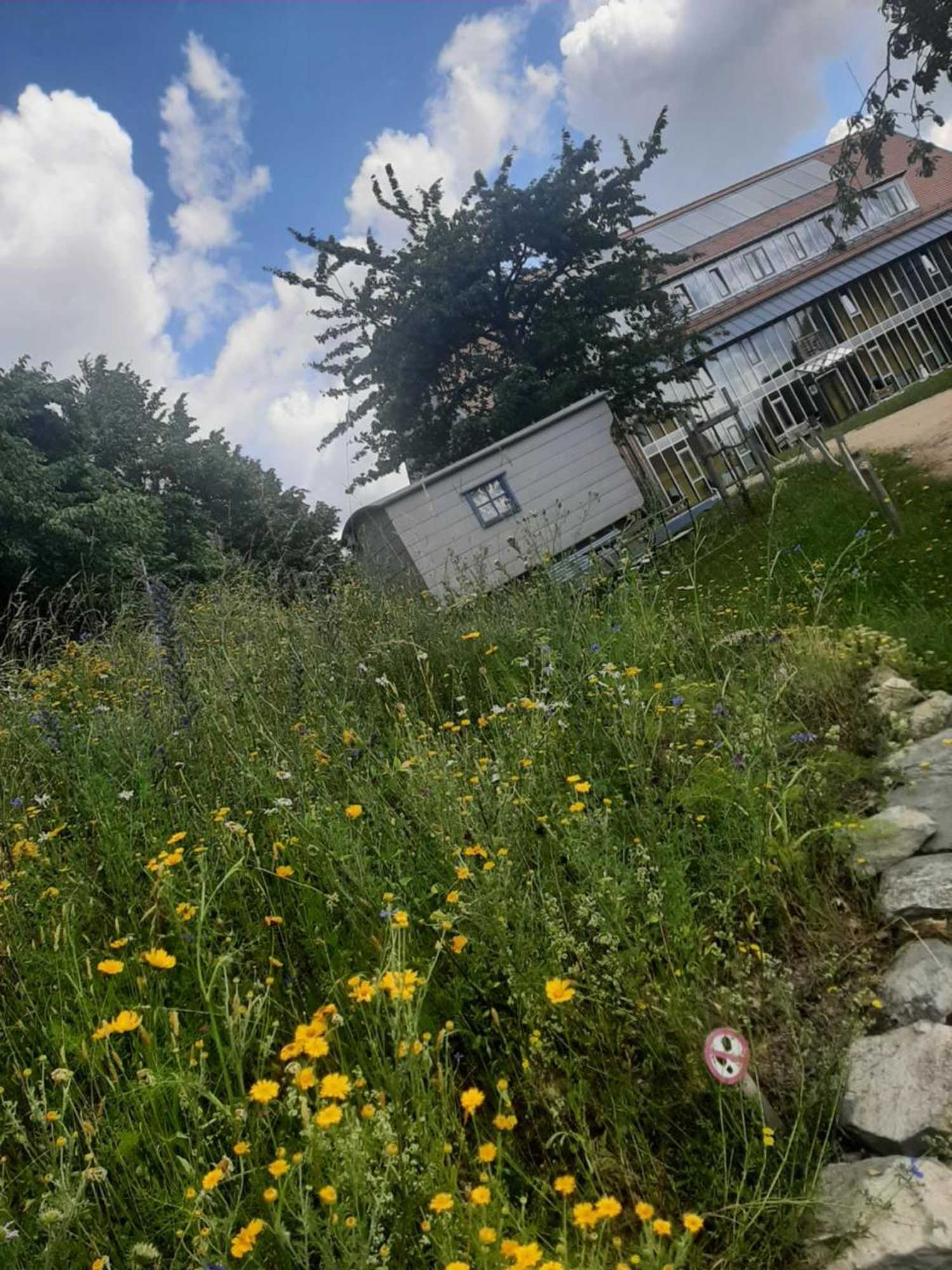 Gift card for Windmühle Seifhennersdorf