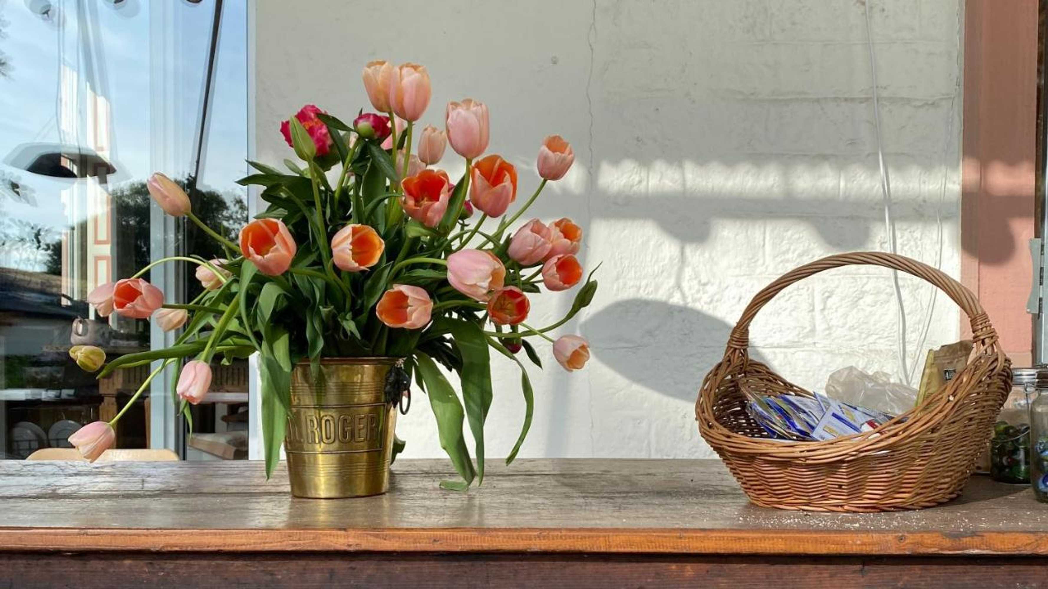 Gift card for Villa Zur Erholung Bed & Breakfast