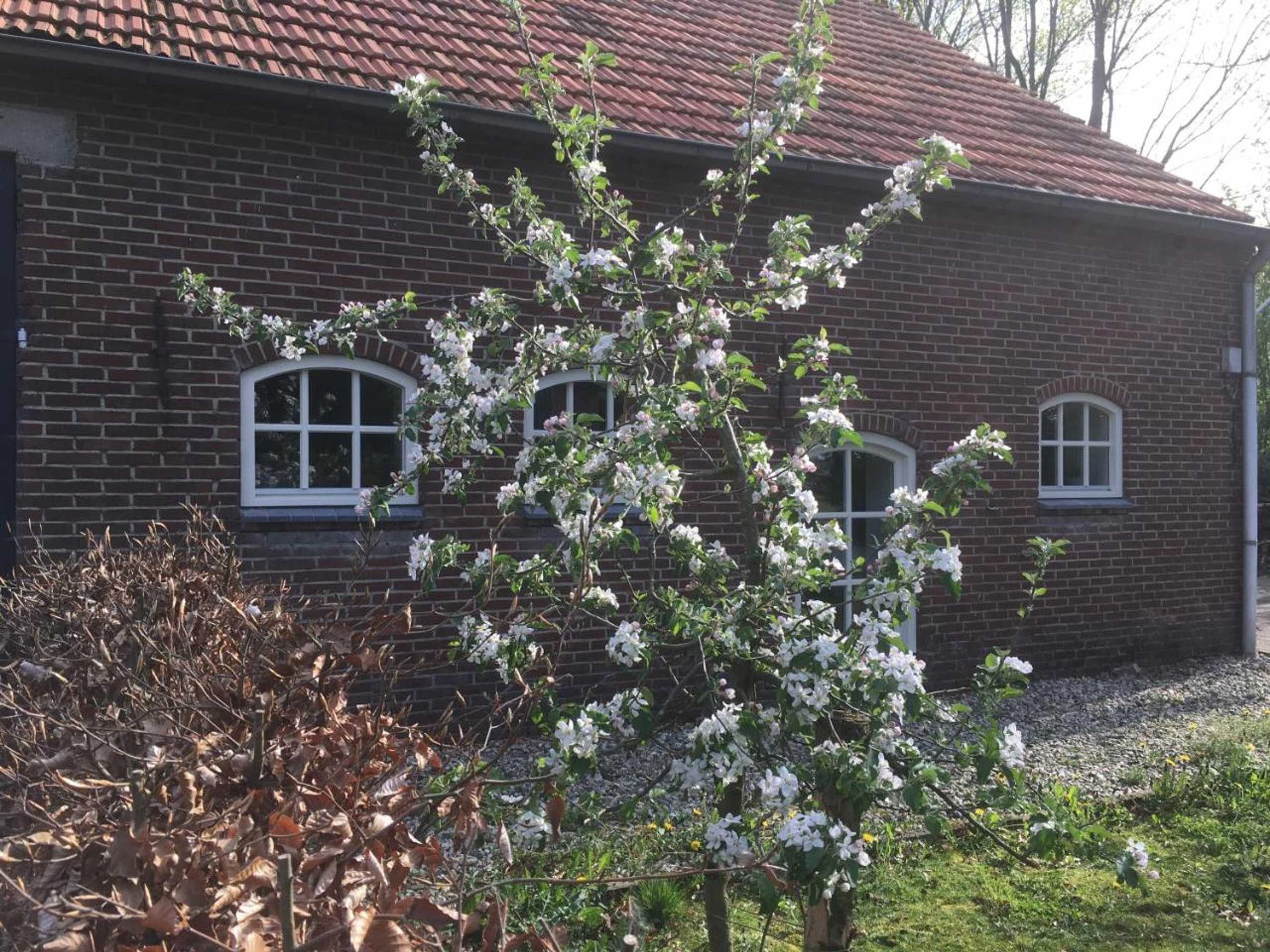 Gift card for B&b Bij Bedaf