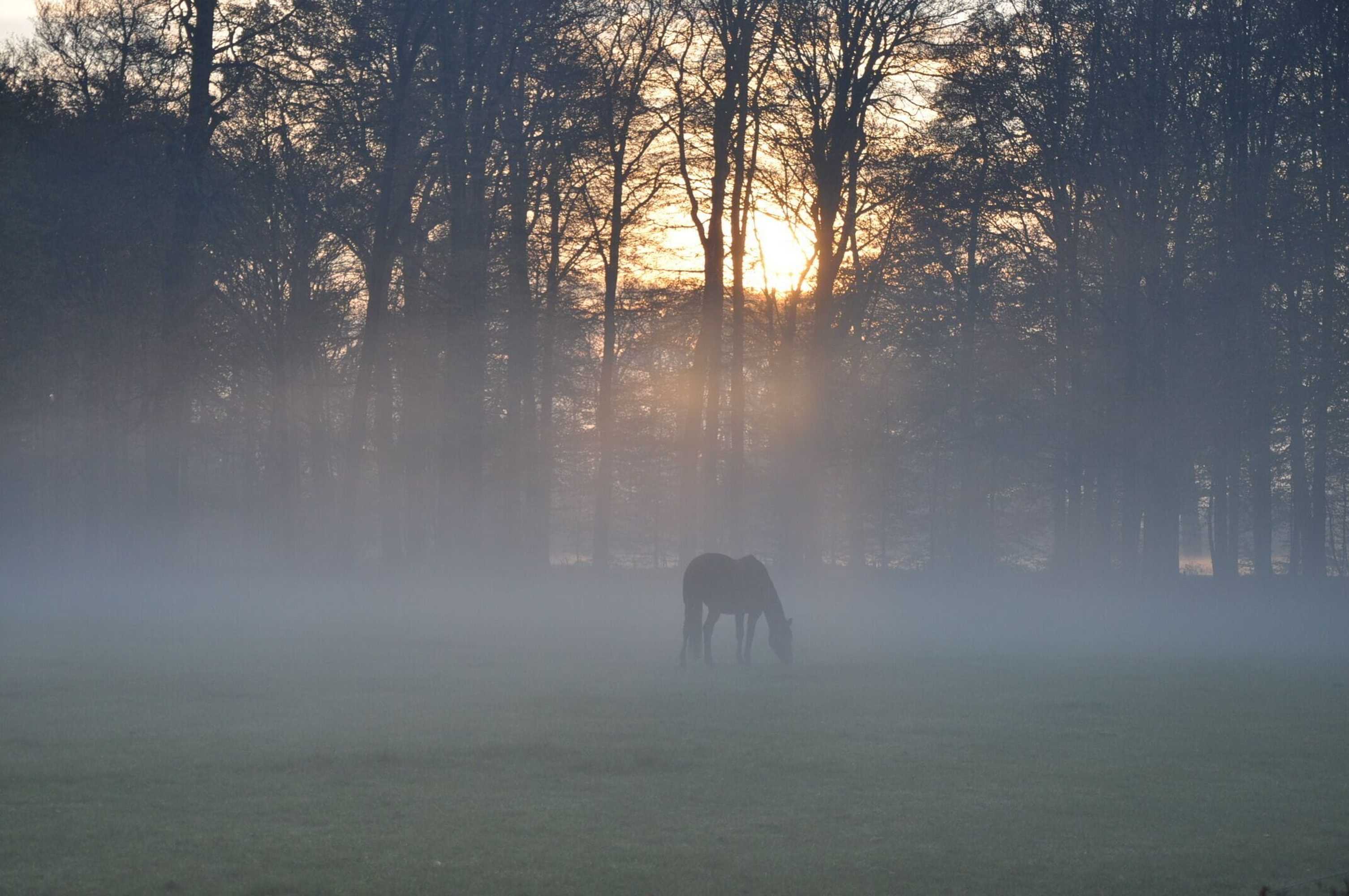 Gift card for Parc Broekhuizen